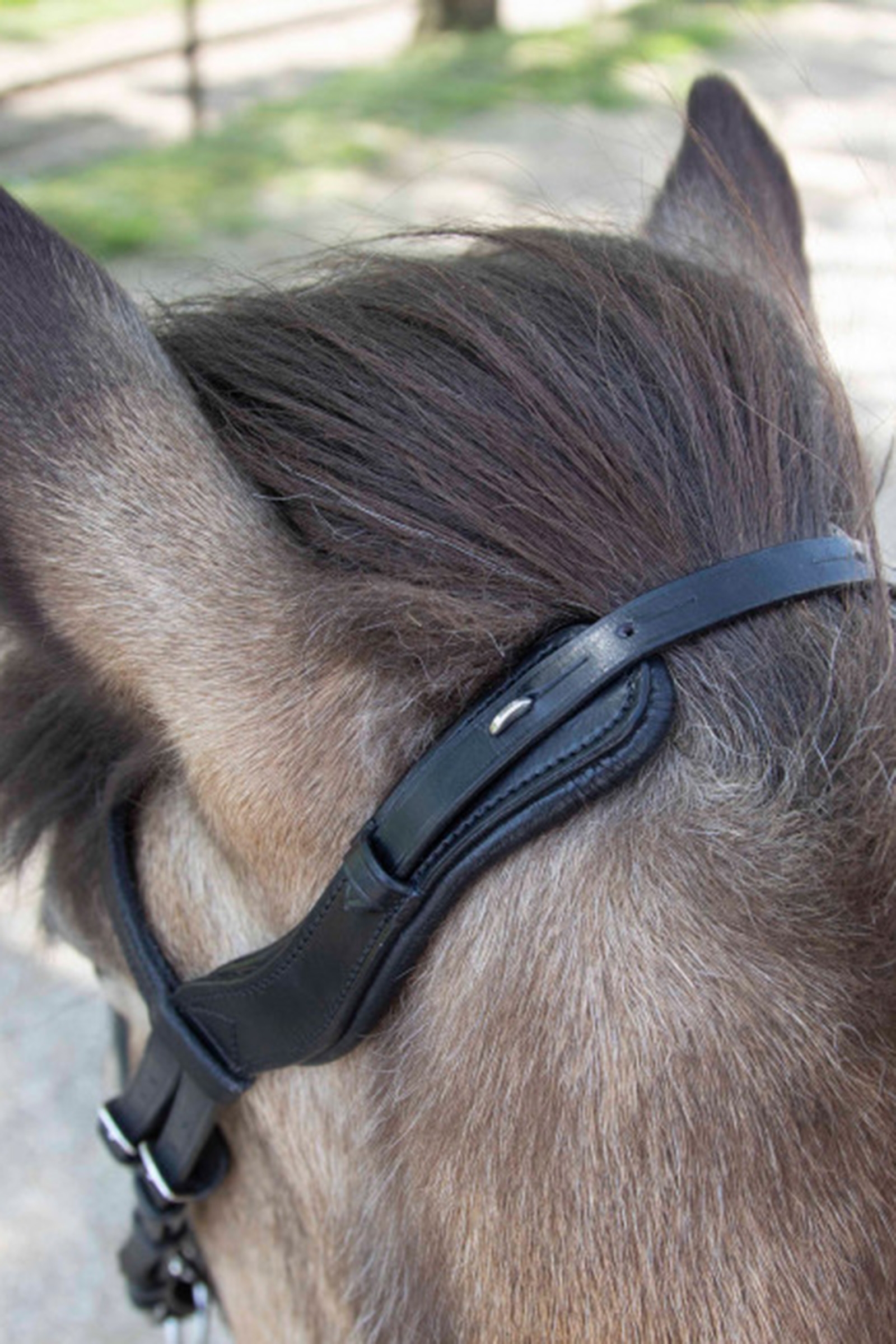 Waldhausen Anatomisch IJslandse Hoofdstel