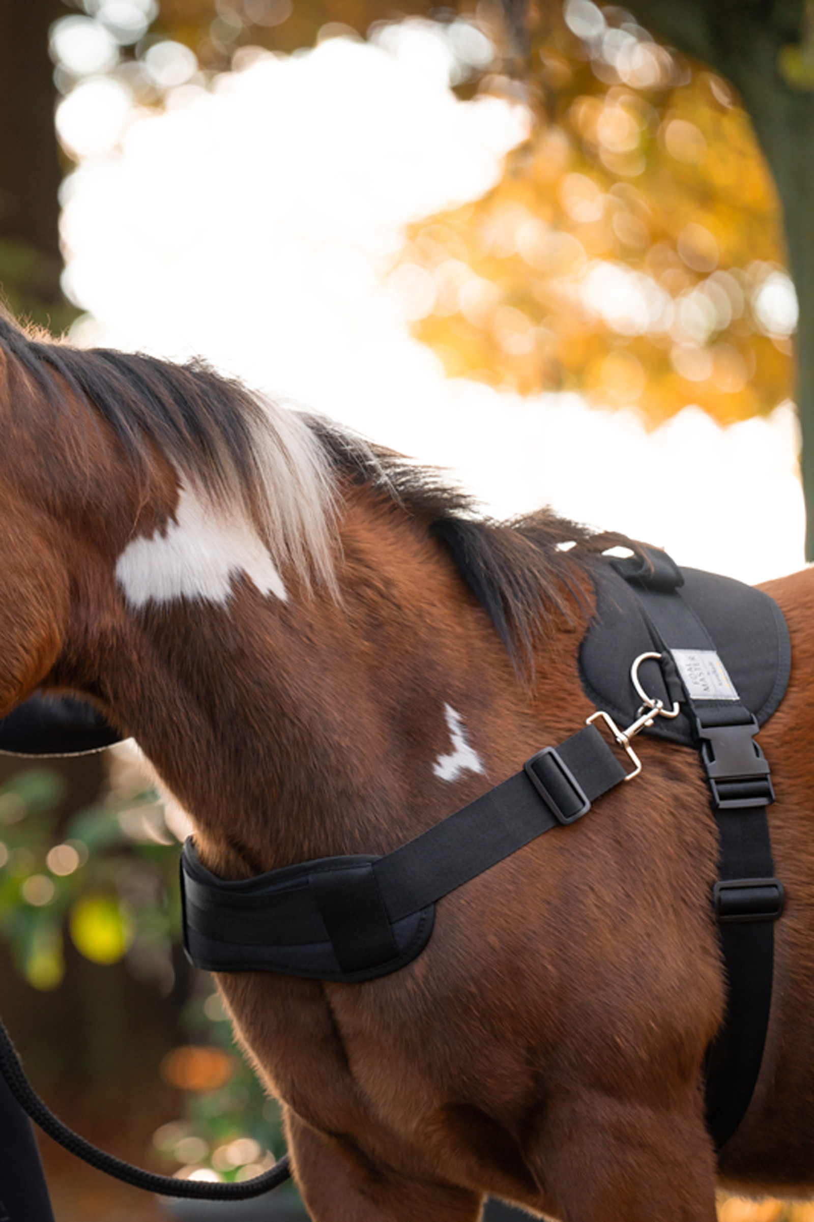 Kavalkade Foalmaster veulenharnas met handvat