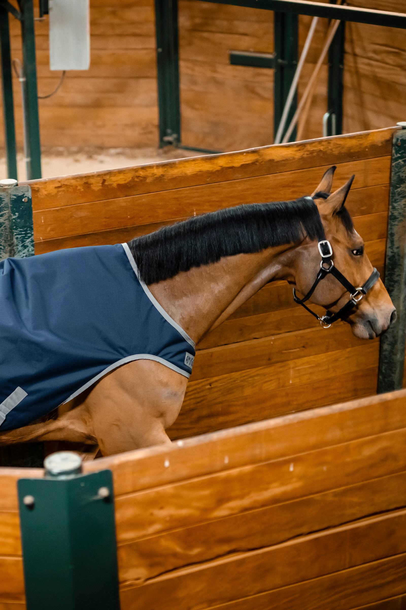 Horseware Amigo Ripstop 900D Walker deken, 100 g