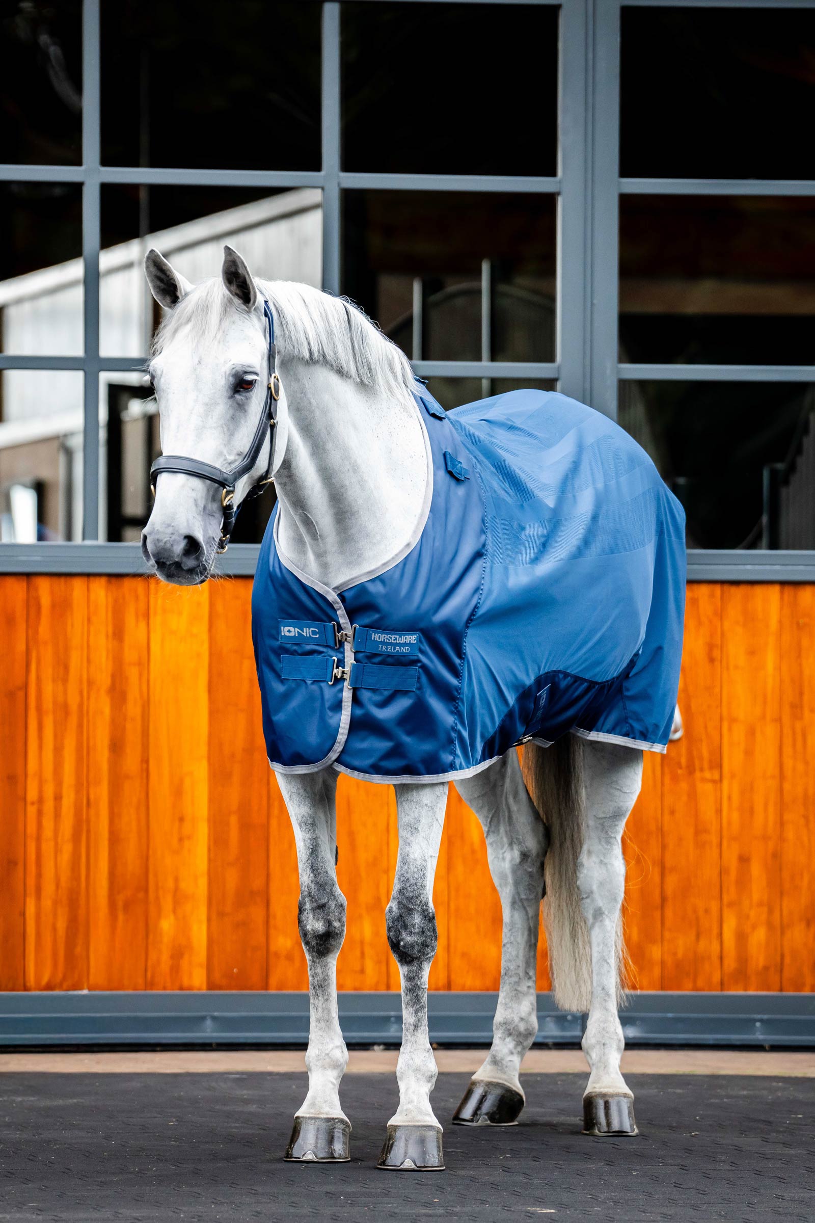 Horseware Ionic Therapy Mesh Cooler deken