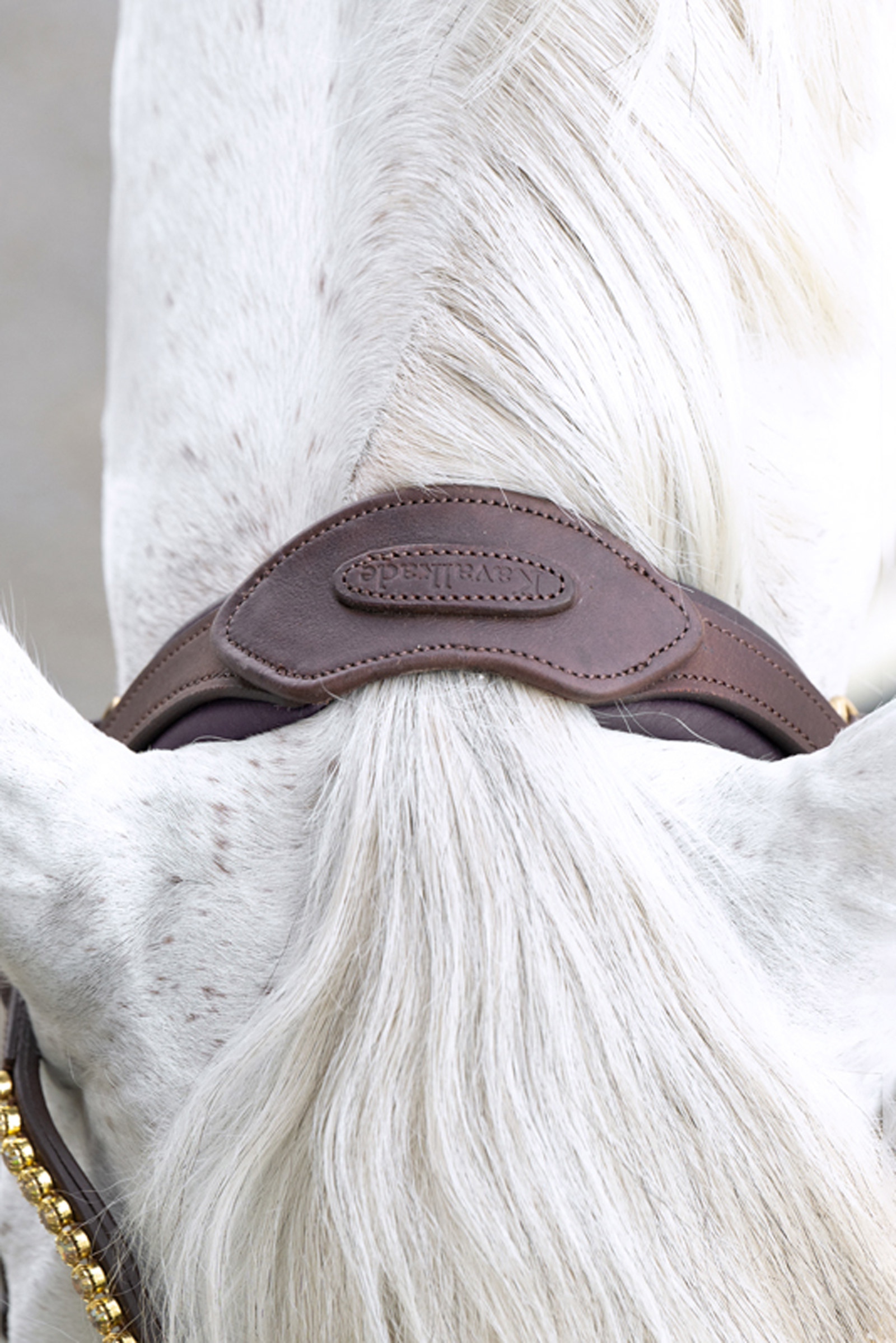 Kavalkade Caliano Engelse Trens