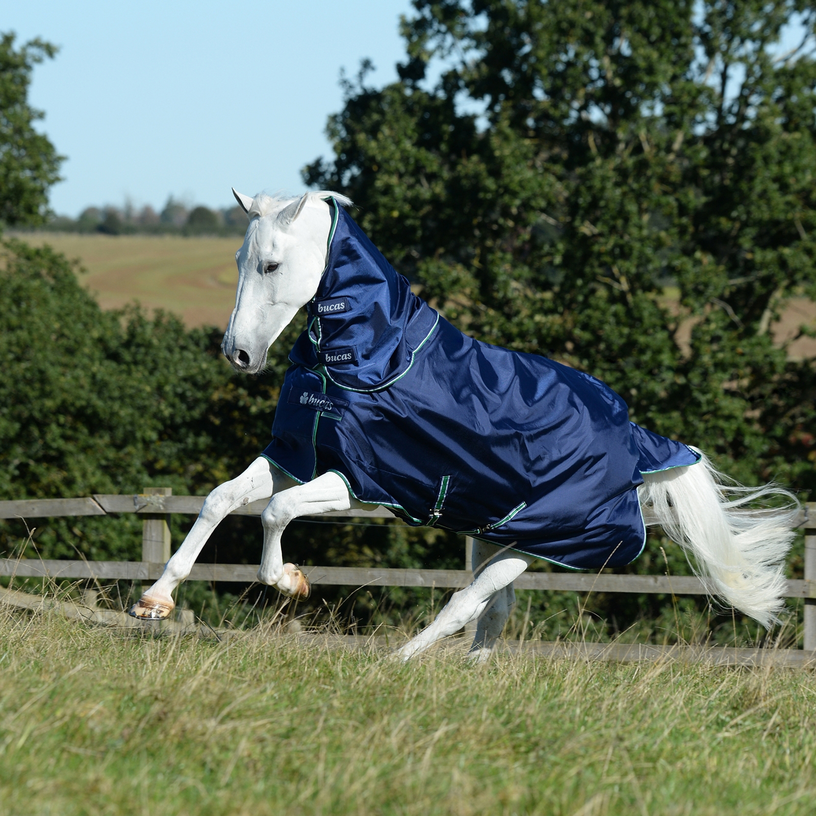 Blue Bucas Smartex Combi Halsstuk 300