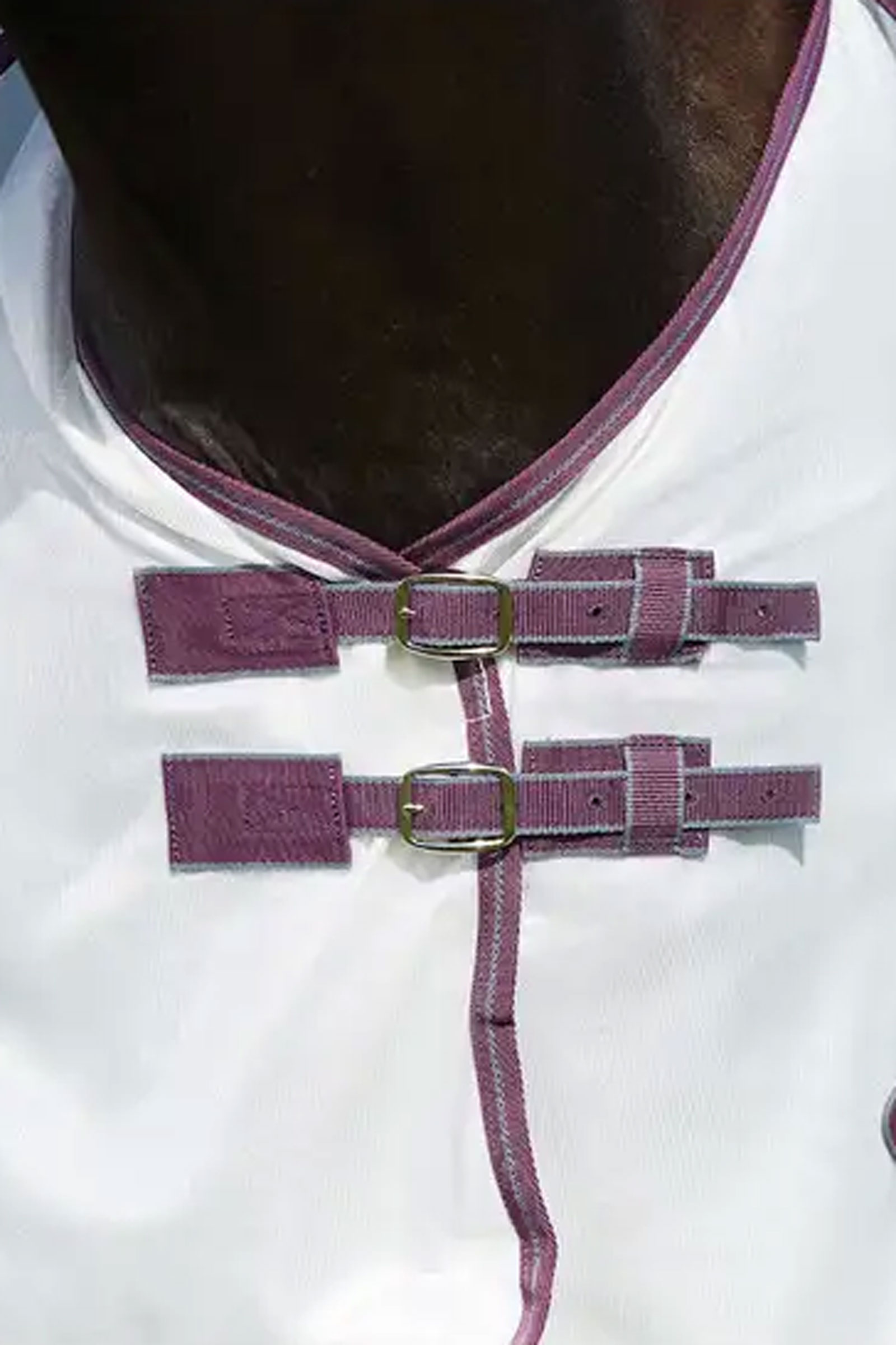 Weatherbeeta ComFiTec Essential Mesh II Combo Deken