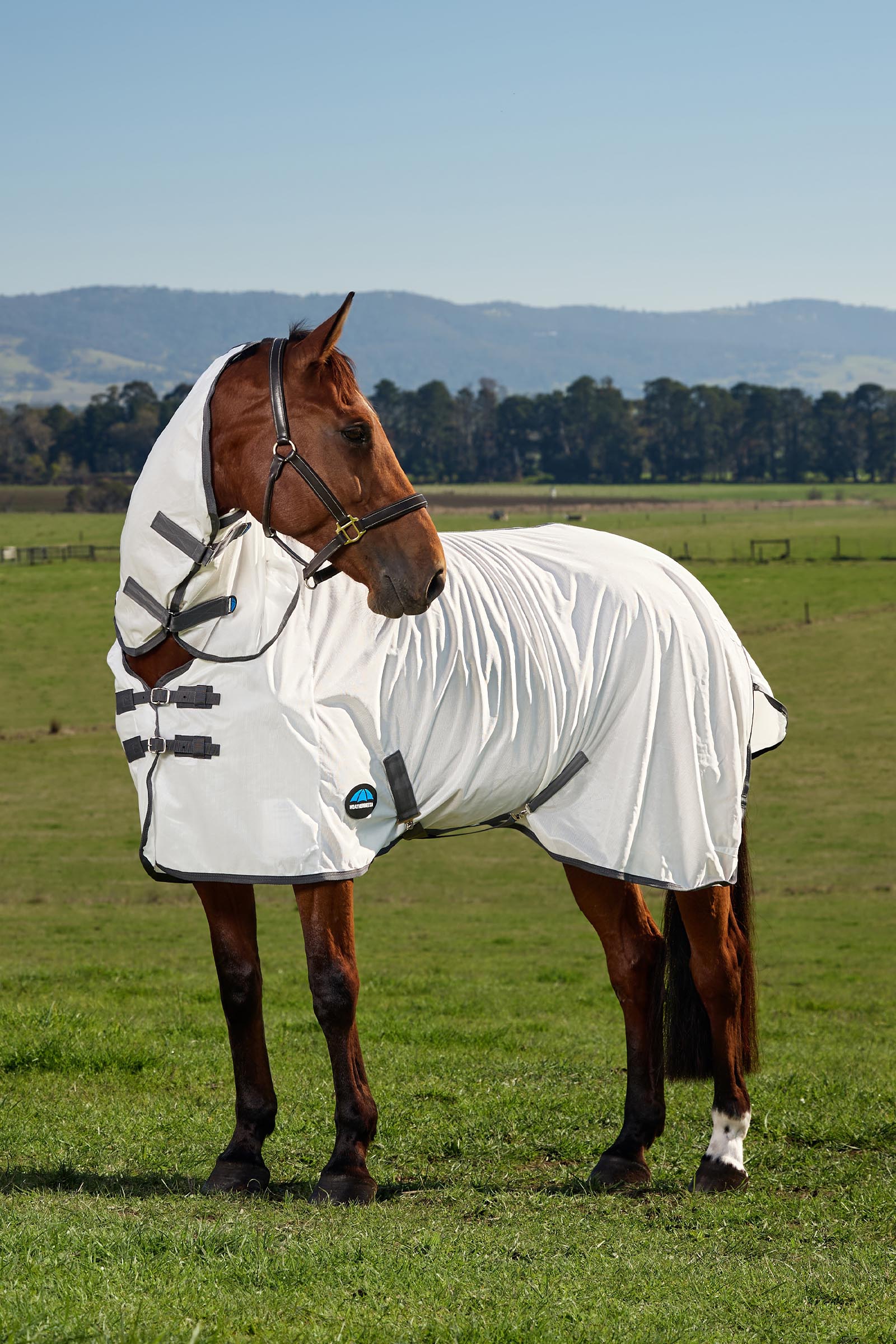 Weatherbeeta ComFiTec Tyro Vliegendeken combo met vaste hals, 0 g  