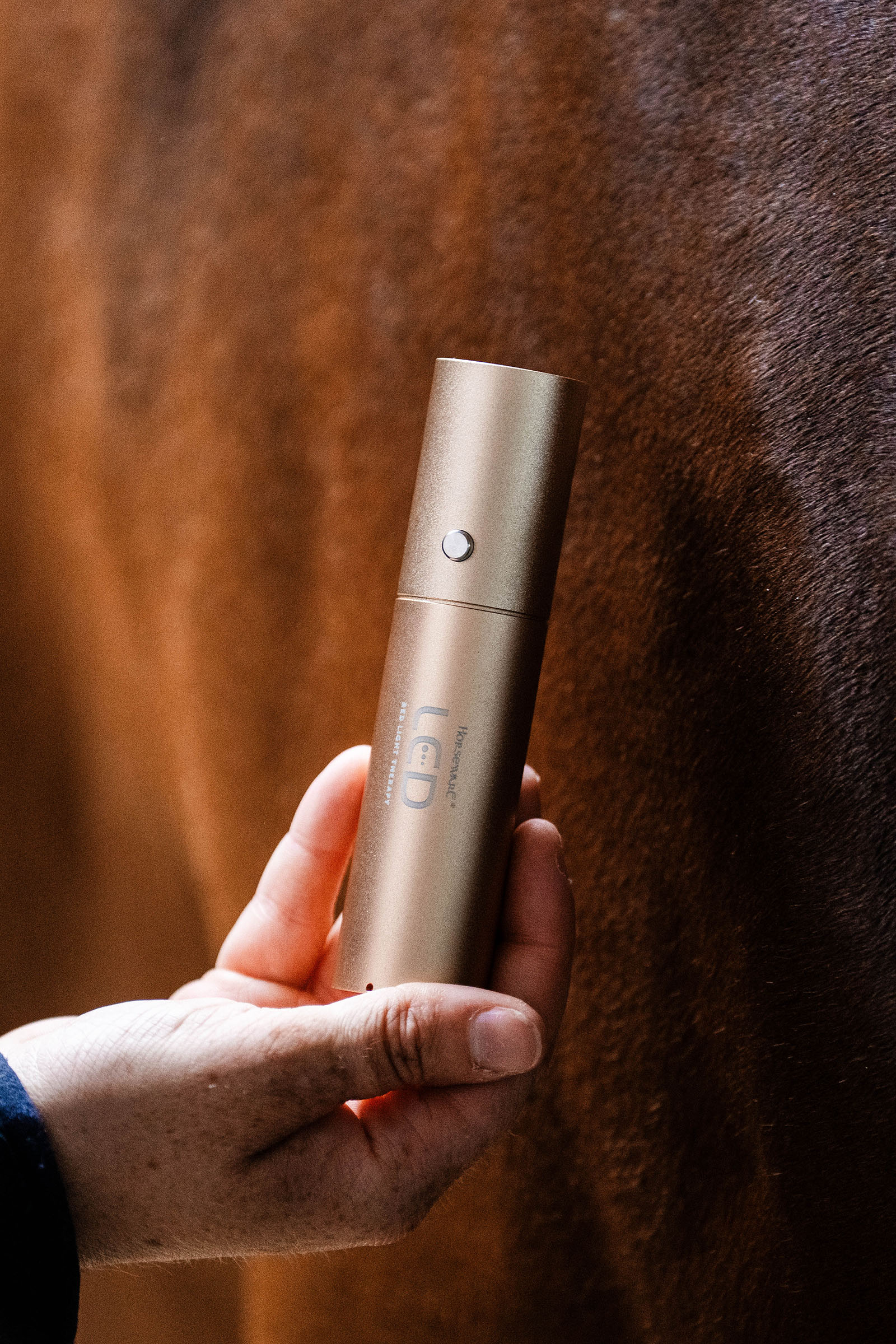 Horseware LED roodlichttherapie Staaf