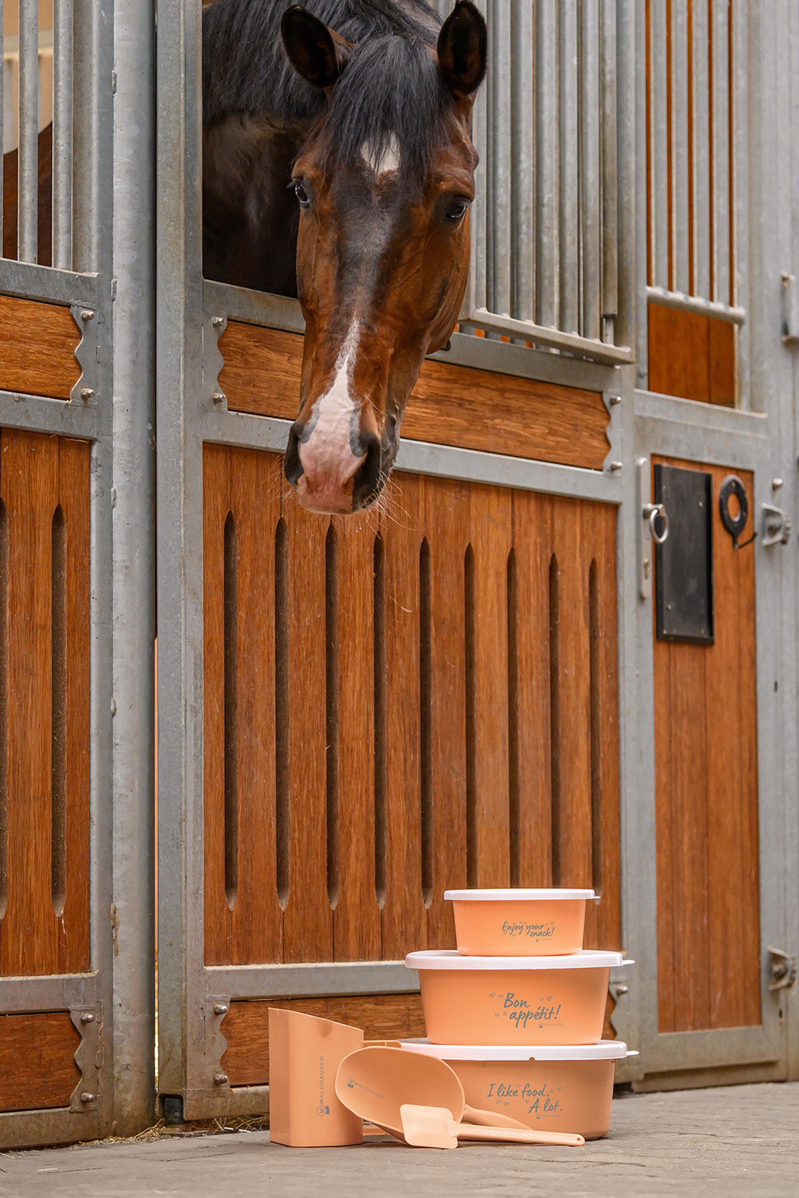Waldhausen Voerschep (2L)
