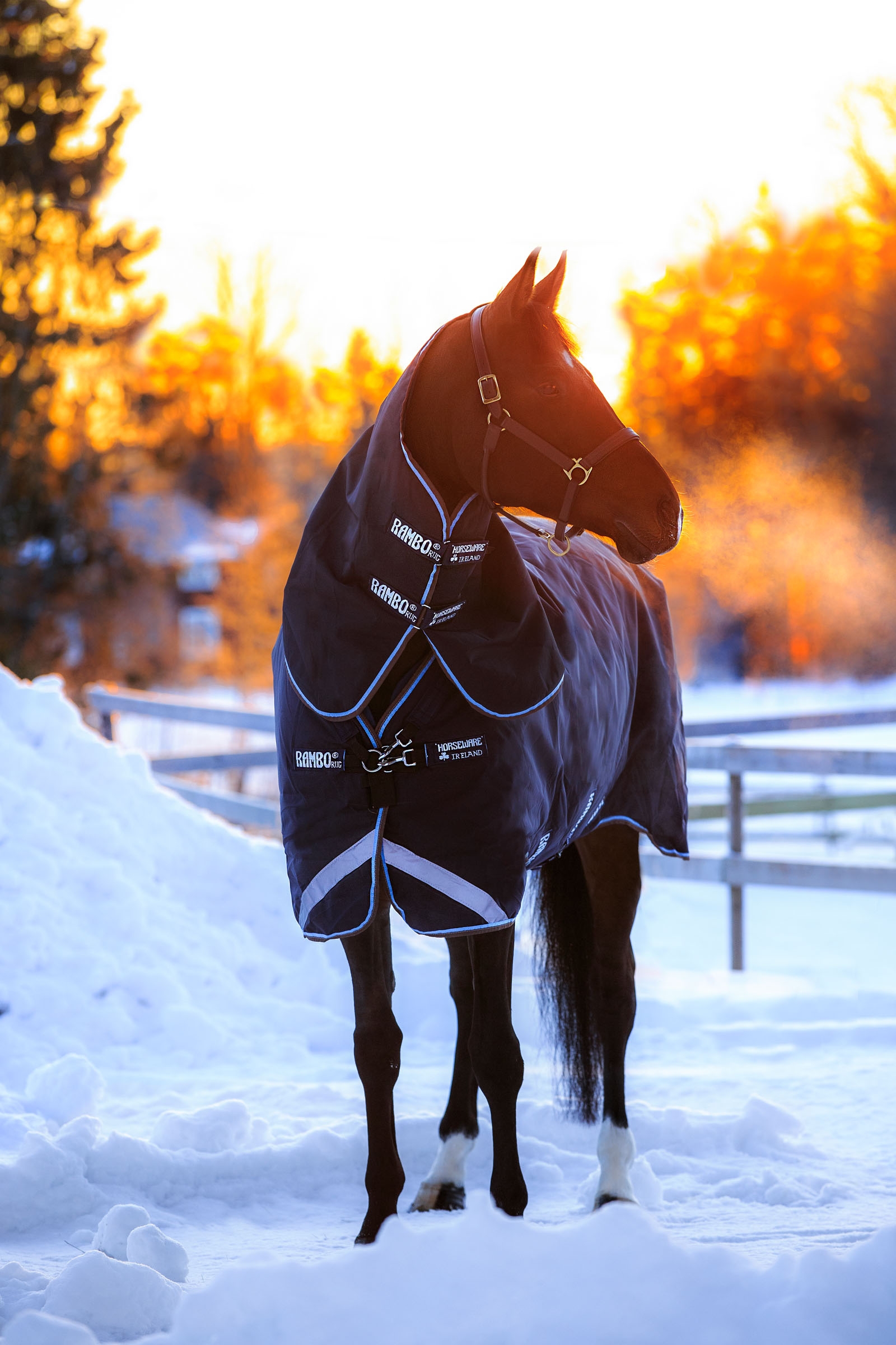 Horseware Rambo Duo Regendeken Incl. afneembare hals, 100 grams