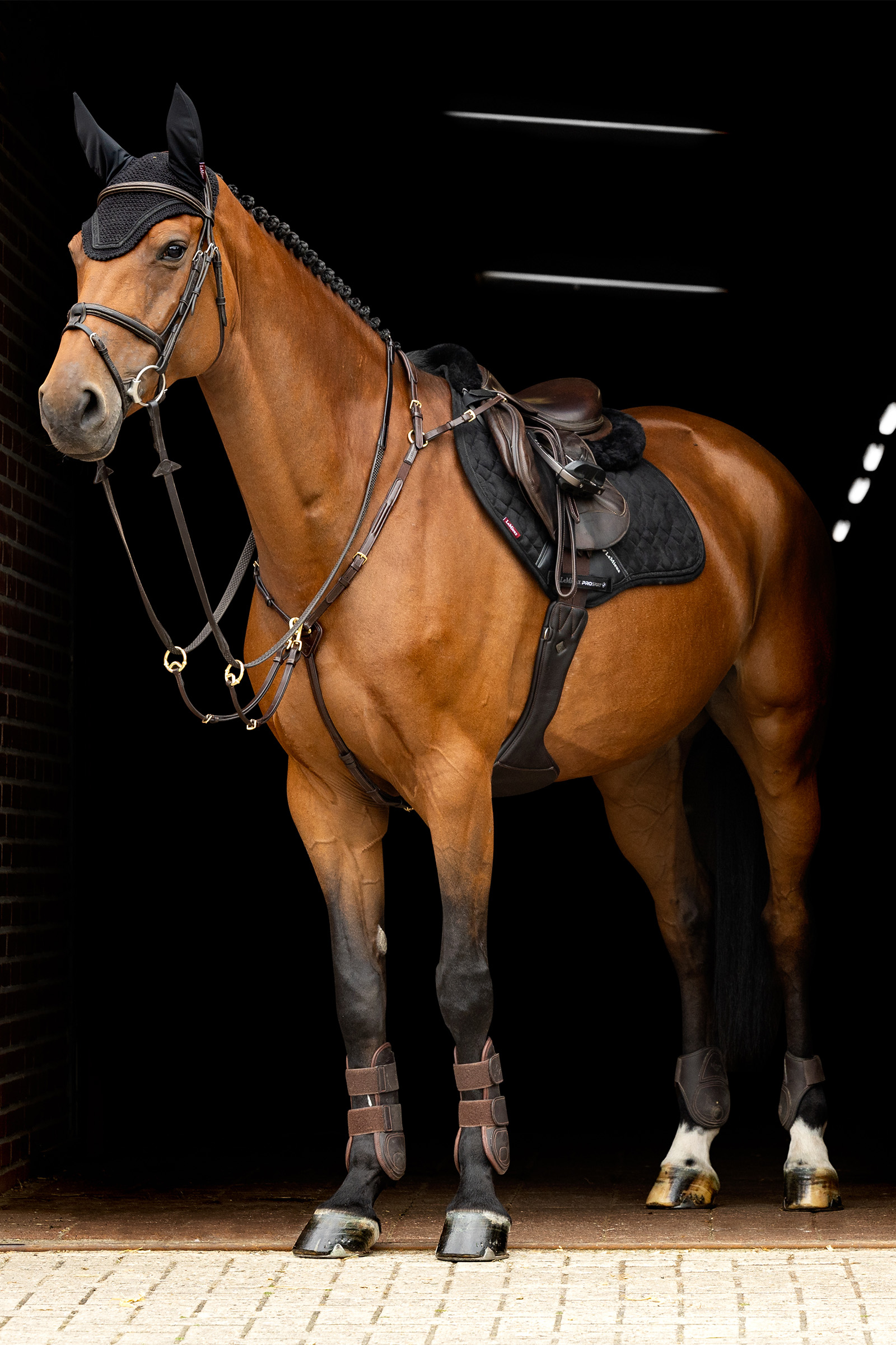 LeMieux Crystal Vliegennetje