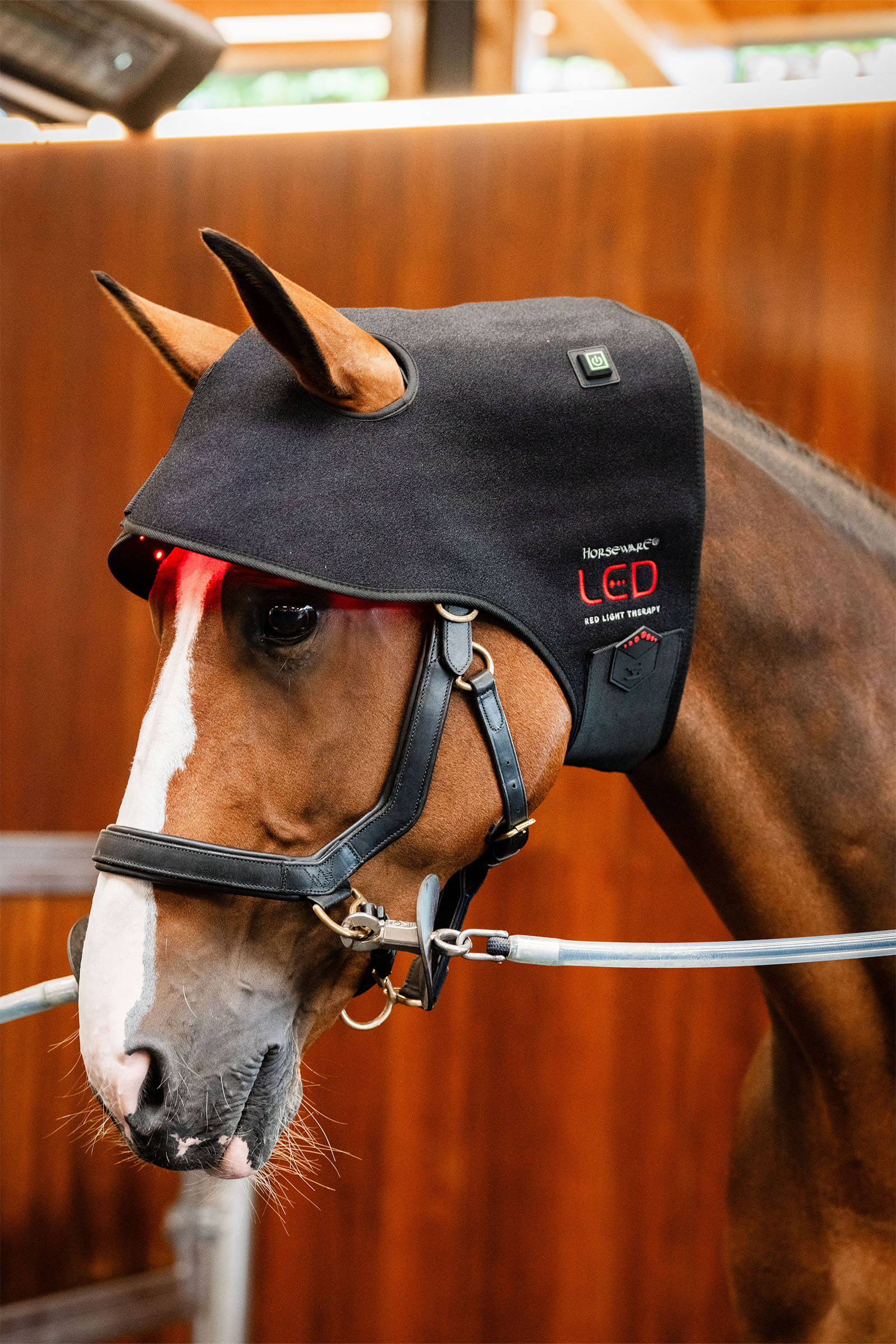 Horseware LED roodlichttherapie nekcap