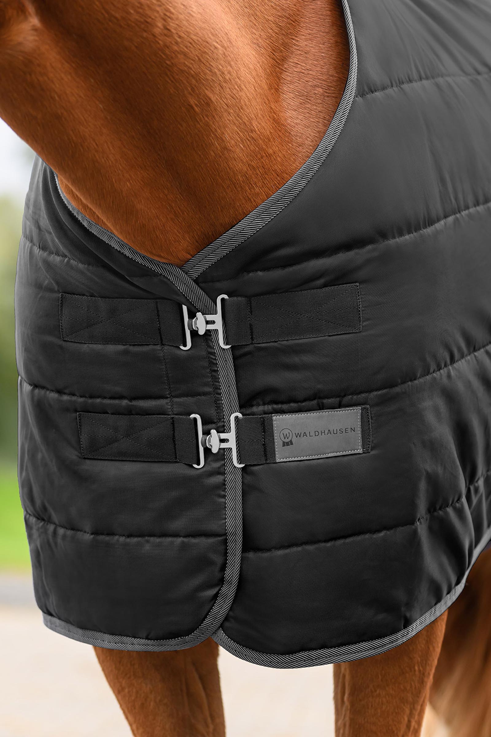 Waldhausen ECONOMIC staldeken, 100g