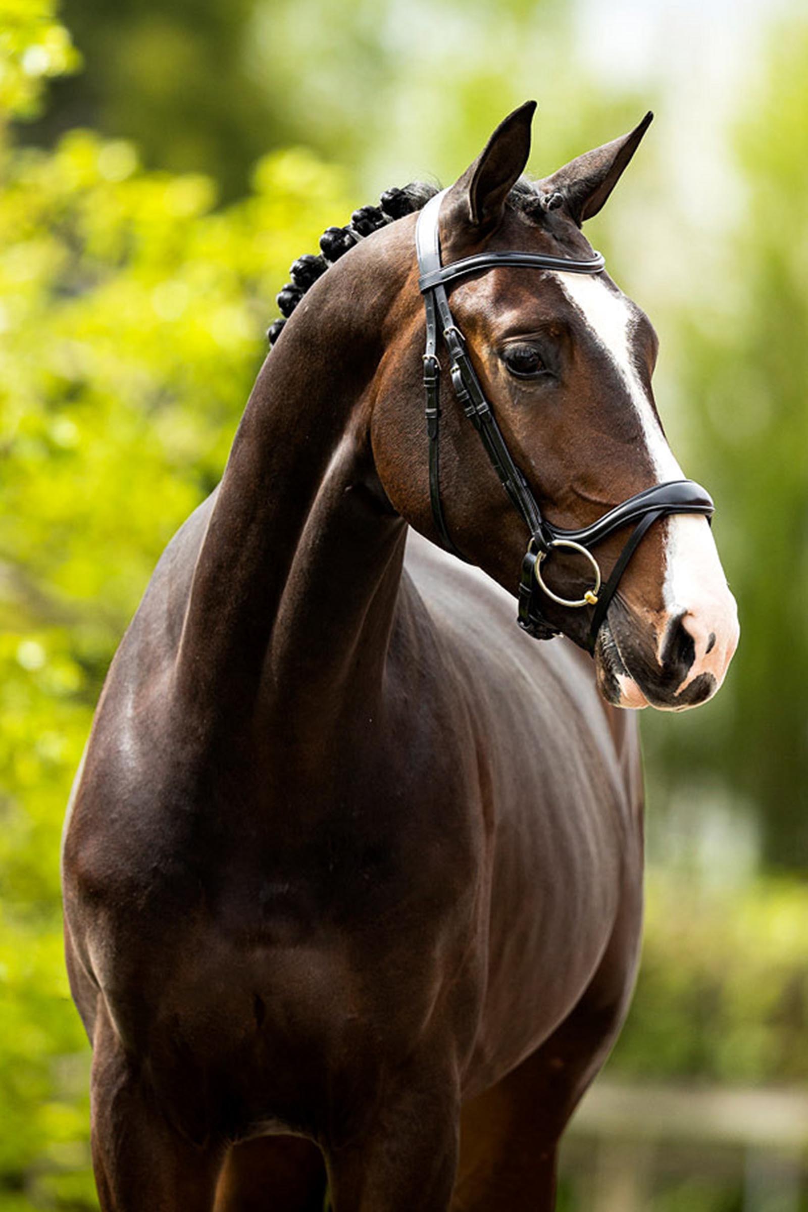 BR Longridge hoofdstel