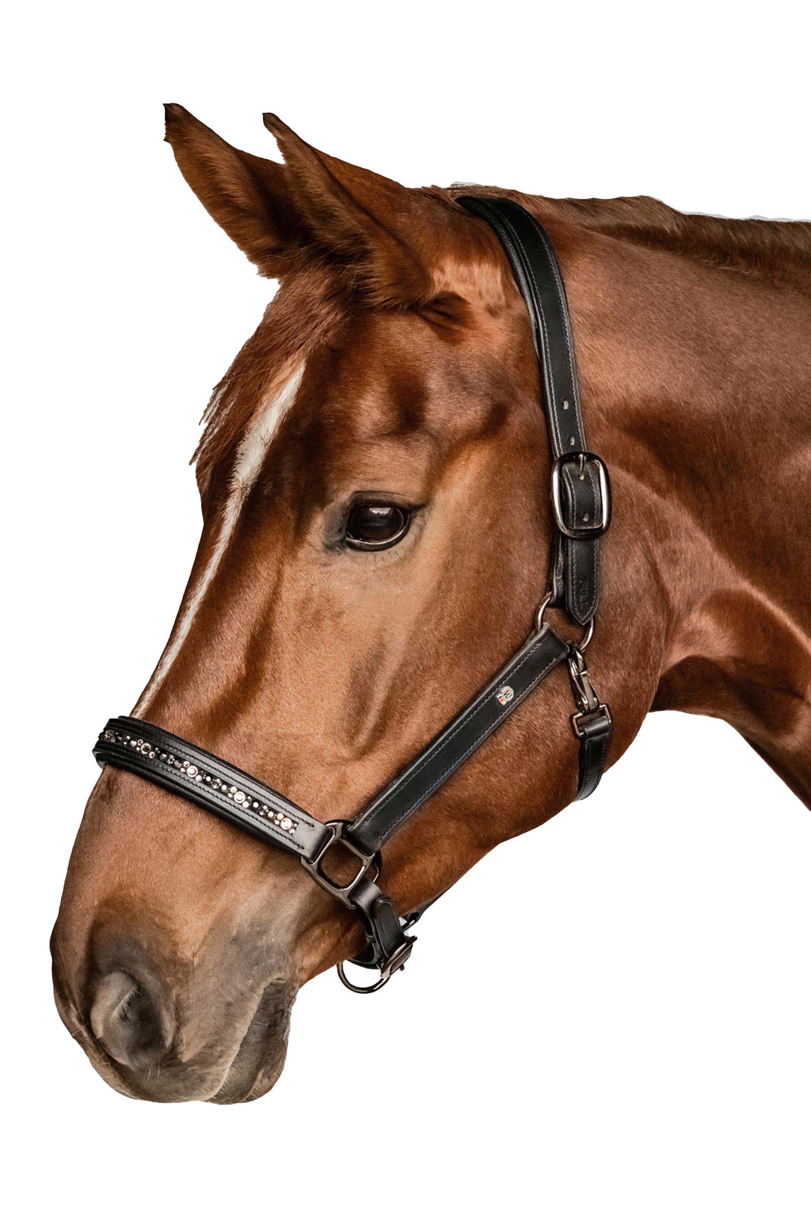 Waldhausen X-Line Crystal Lederen halster