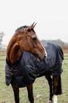 Kentucky Horsewear Winterdeken All Weather 300gr