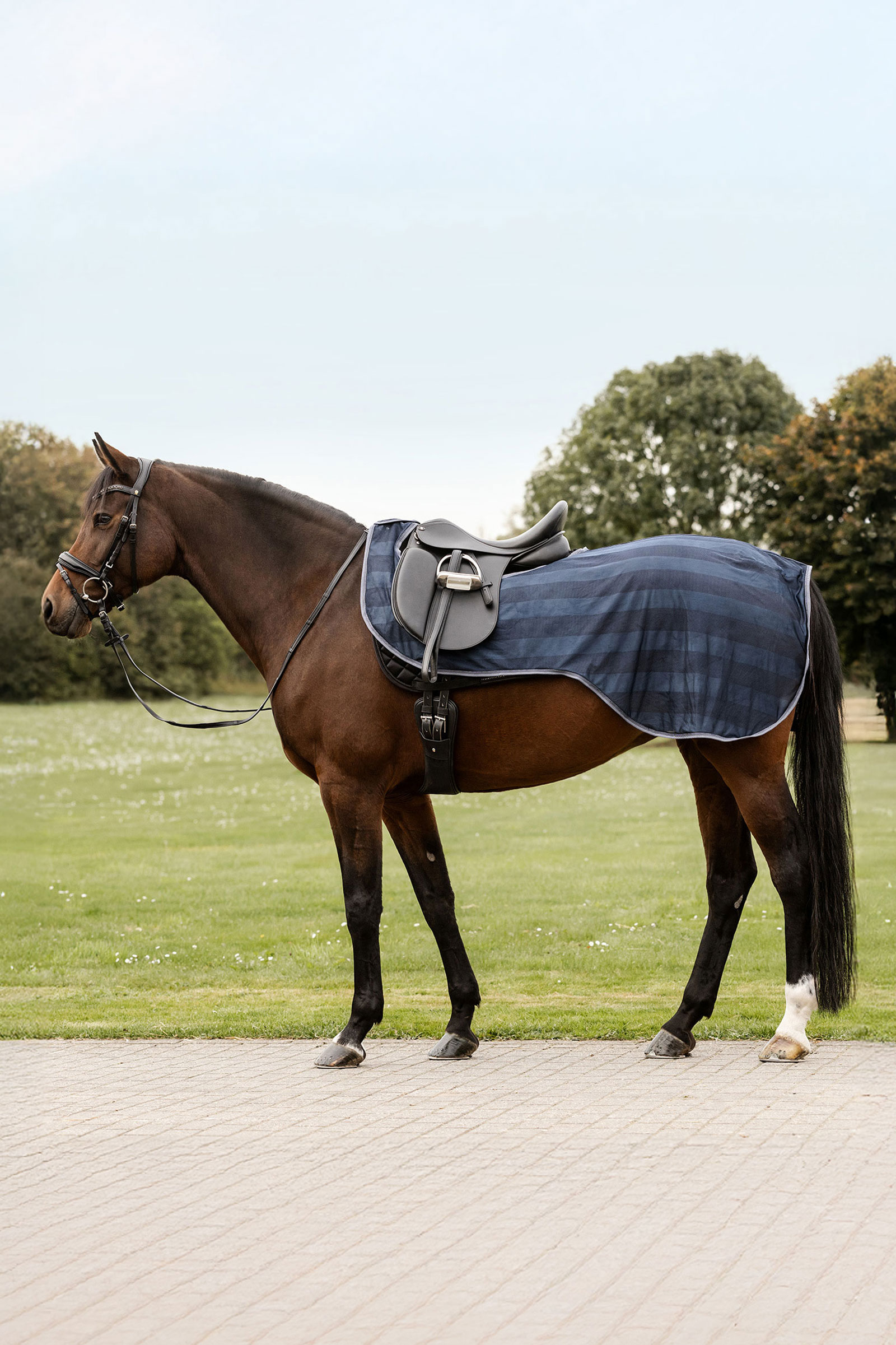Night Blue Waldhausen Economic vliegendeken voor het rijden