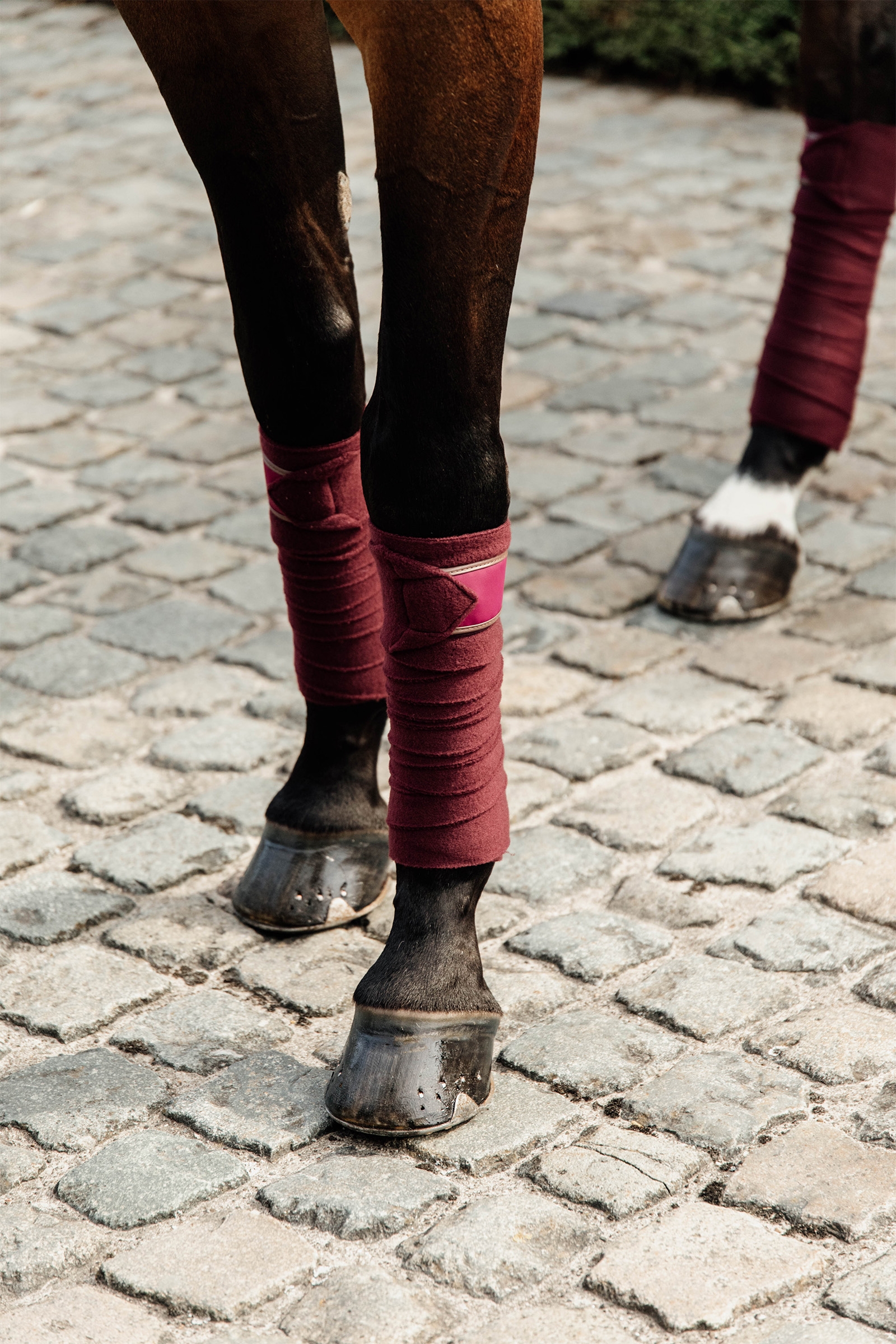 Kentucky Horsewear Polar Fleece Bandages