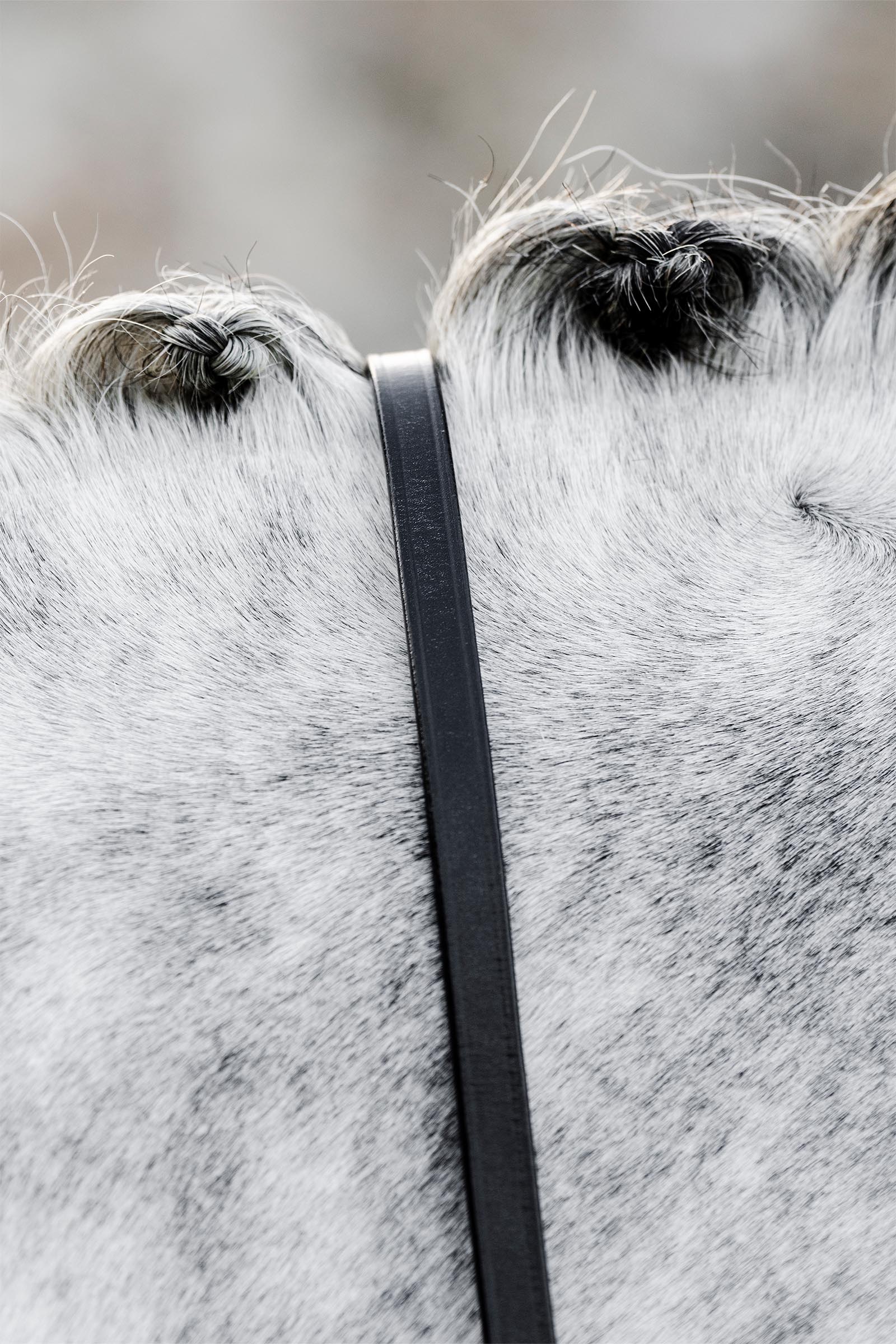 Horseware stangteugels