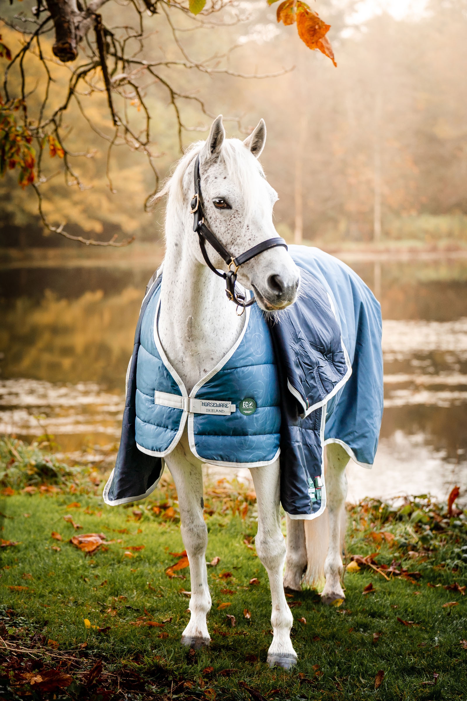 Horseware Eco liner, 200g