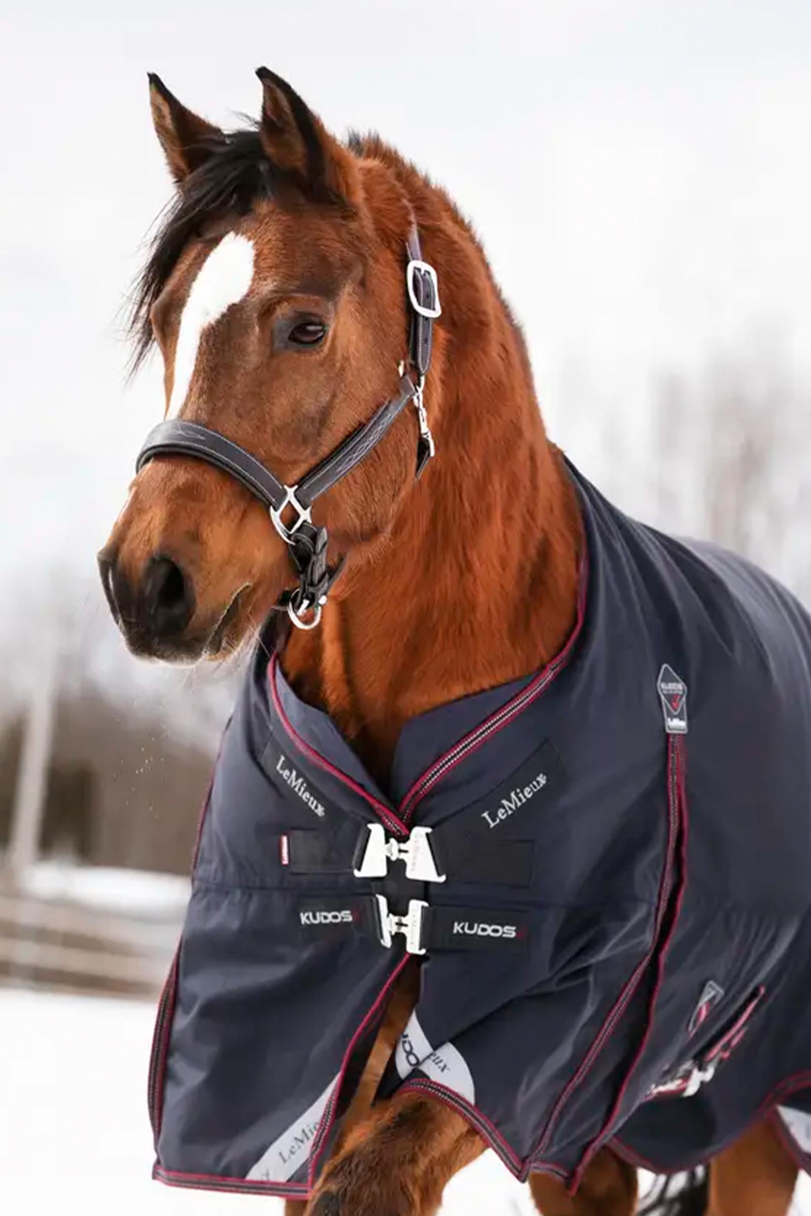 LeMieux Kudos regendeken, 200 g