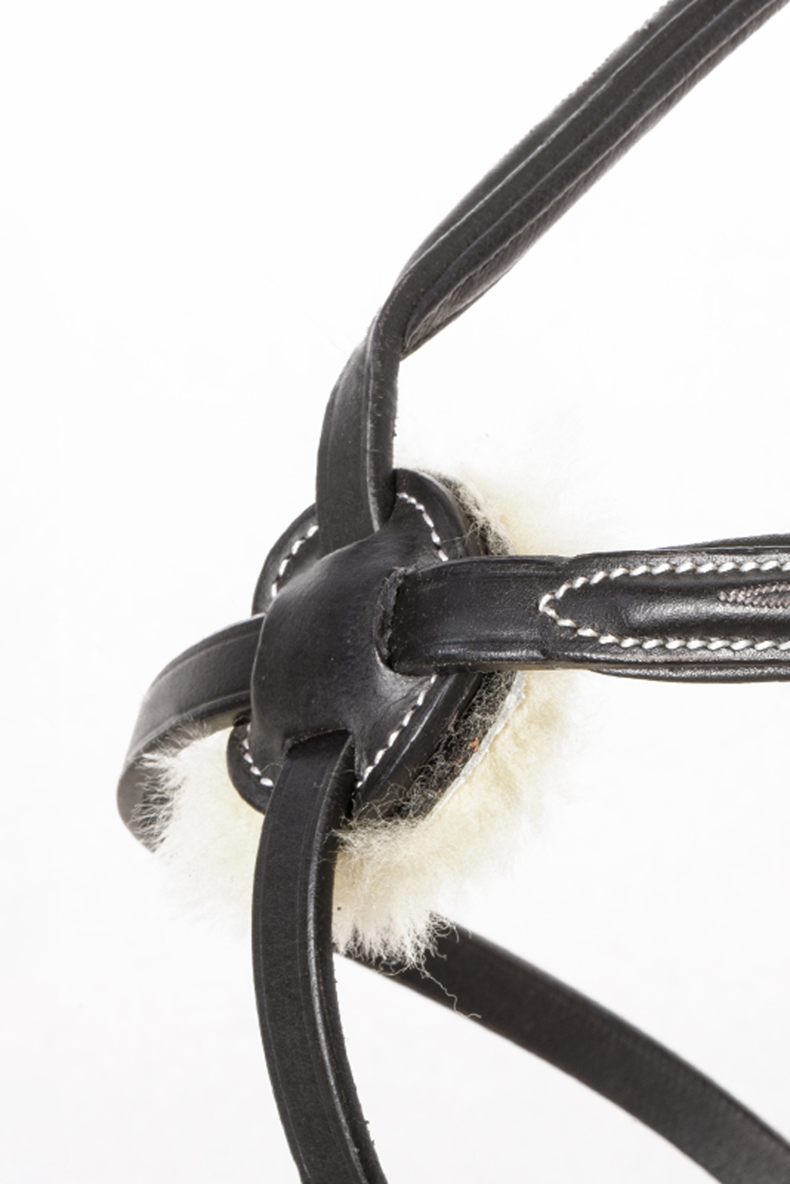 Kavalkade Diandro Mexicaans Hoofdstel