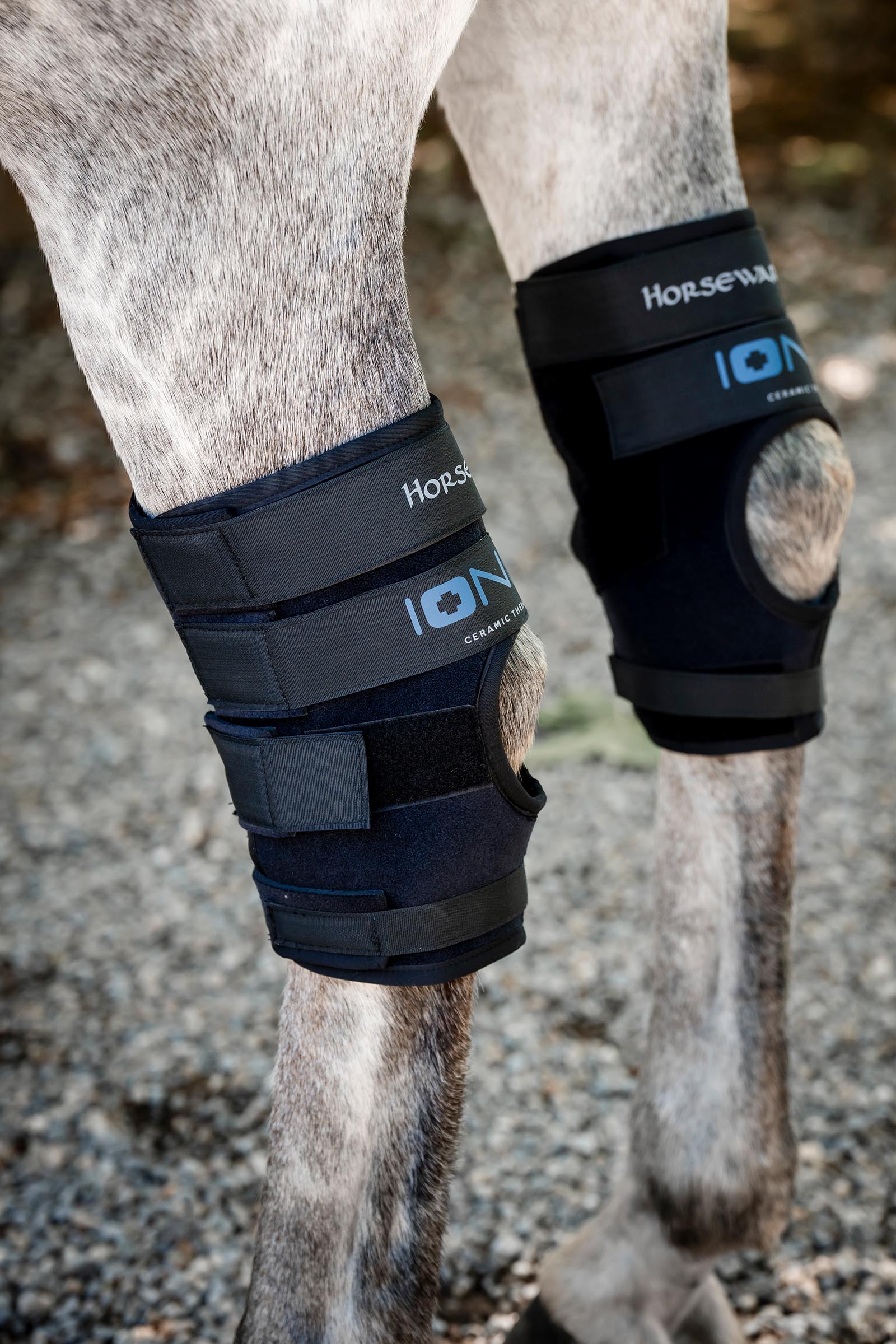Horseware Ionic spronggewrichtbeschermers &ndash; set van 2