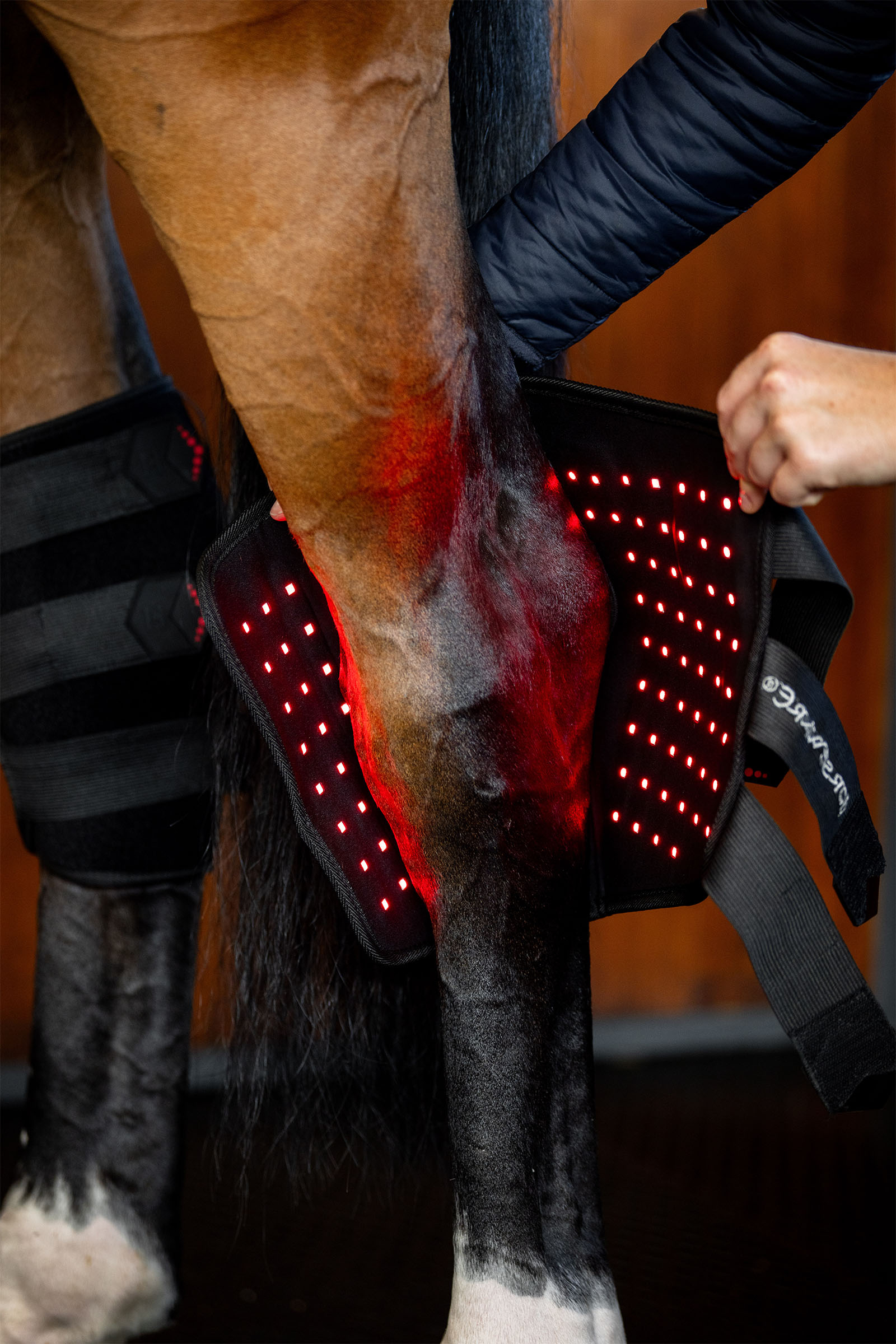 Horseware LED roodlichttherapie sprongbeschermer (1 st.)