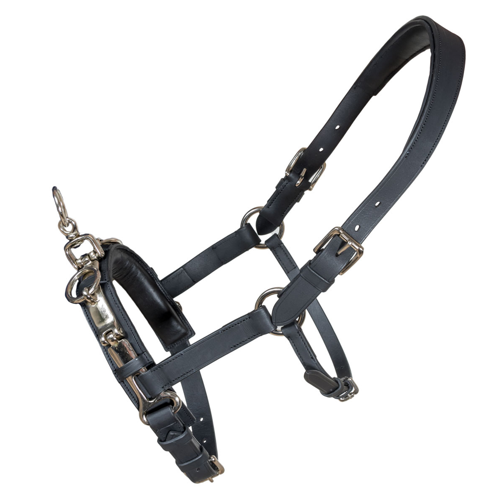 Karlslund Fengur Kaptoom