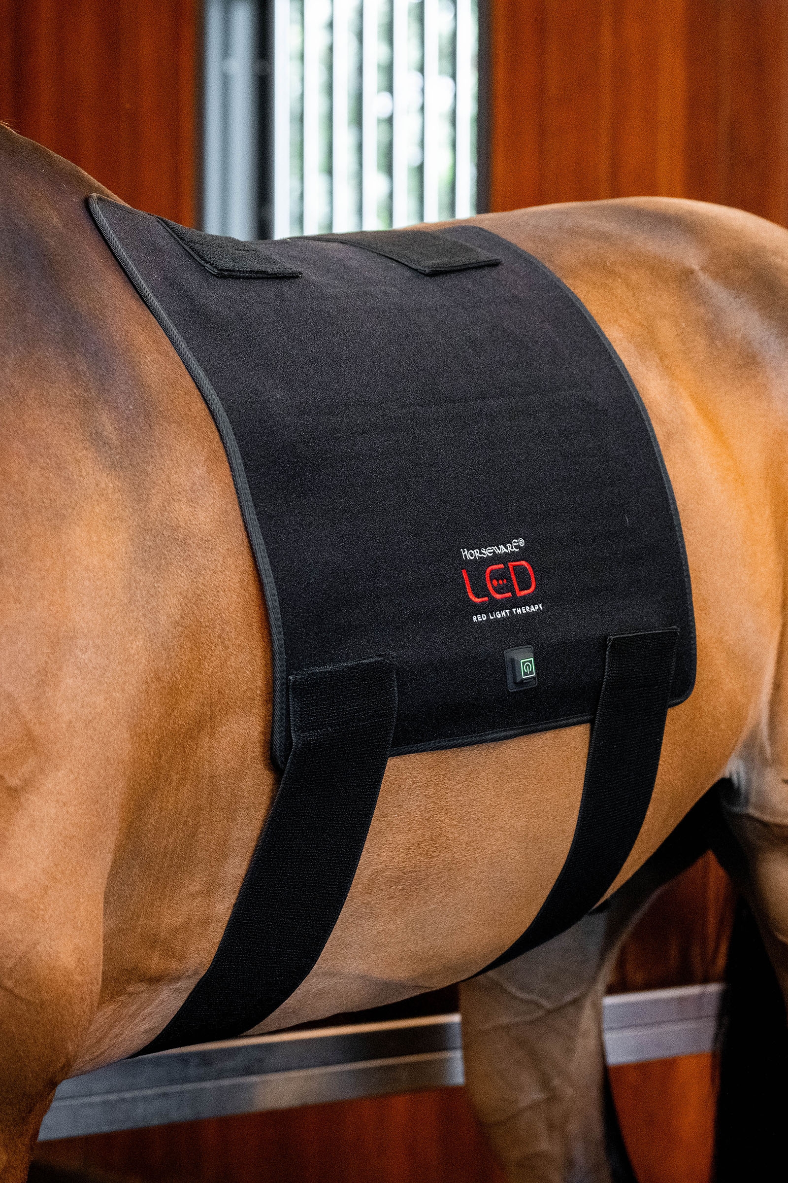 Horseware LED roodlichttherapie Pad