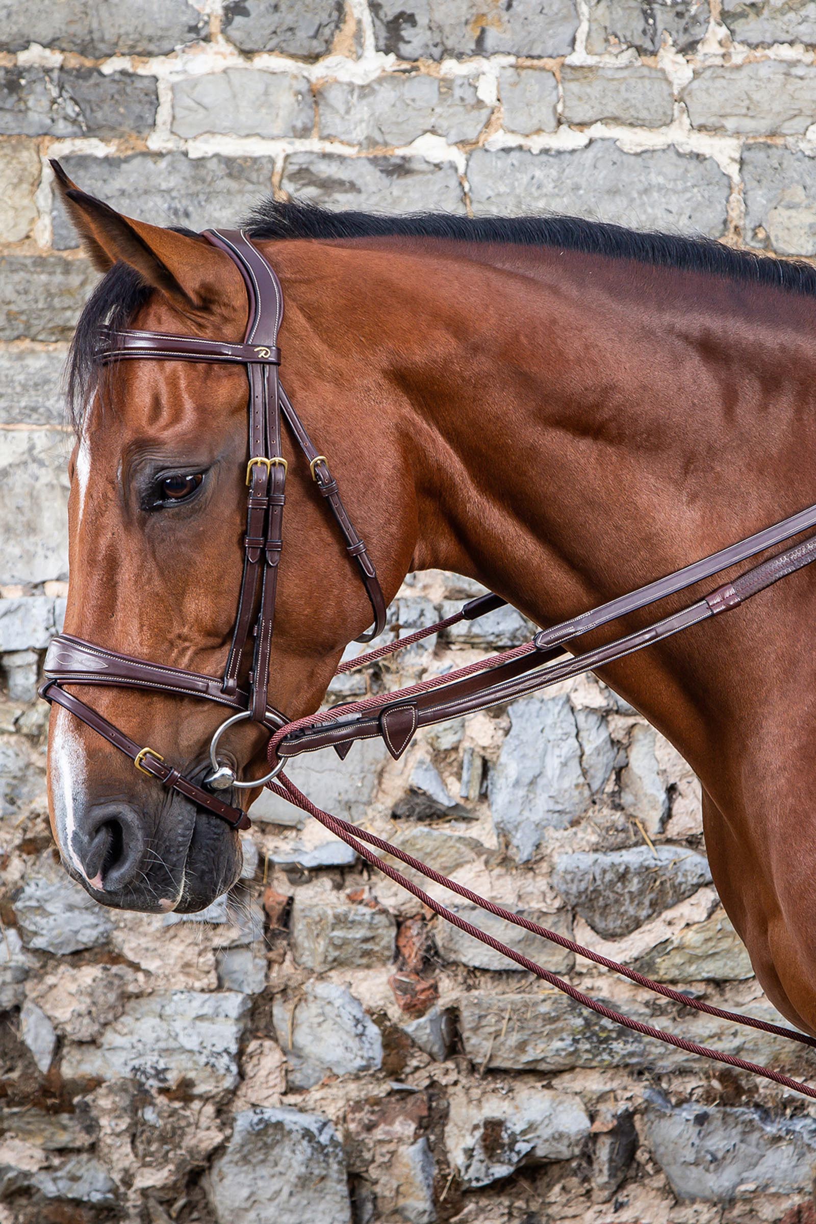 Dy'on D-Collection bijzetteugels leer/nylon 16 mm