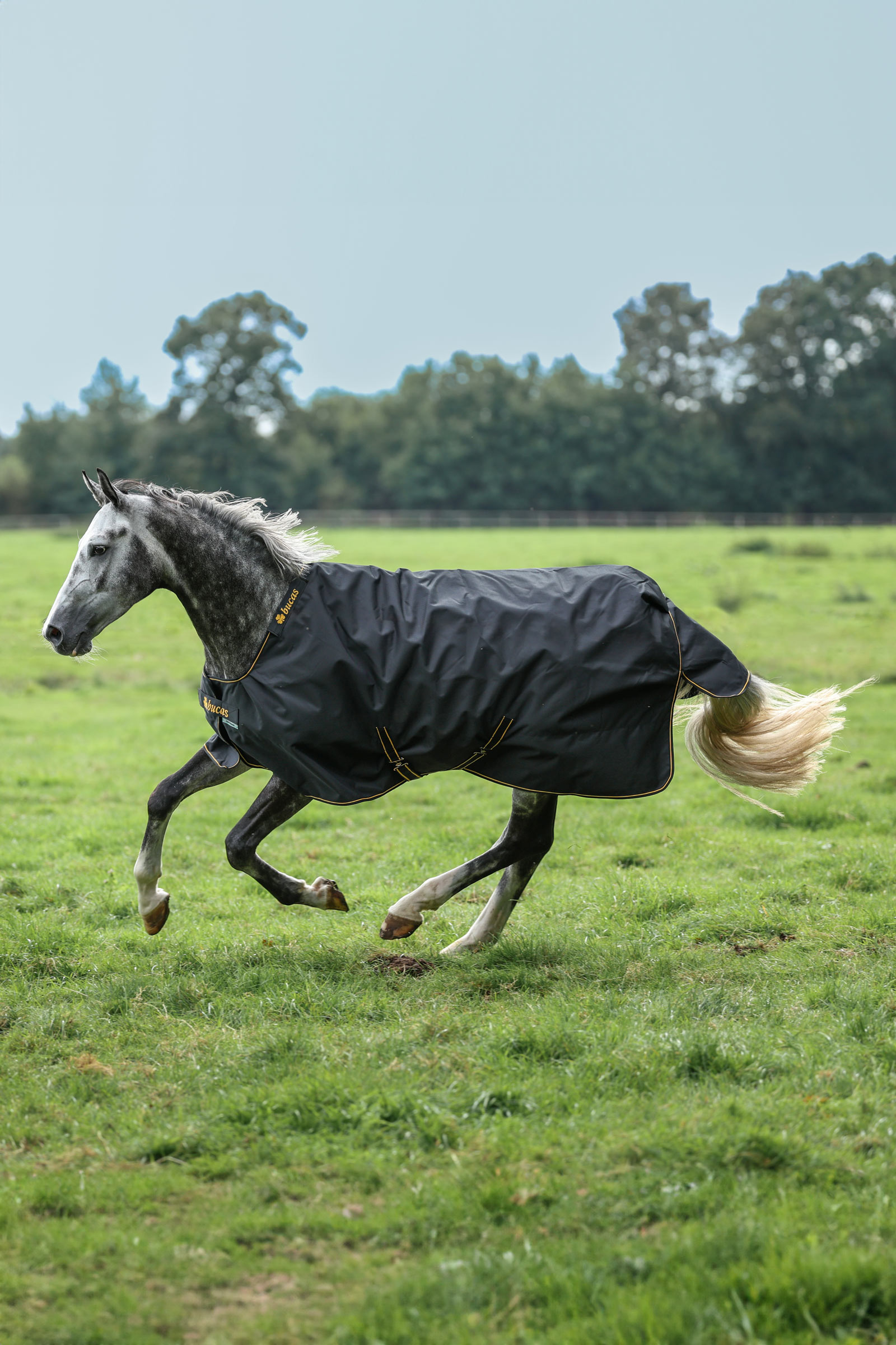 Bucas Irish Pony outdoordeken, 50g