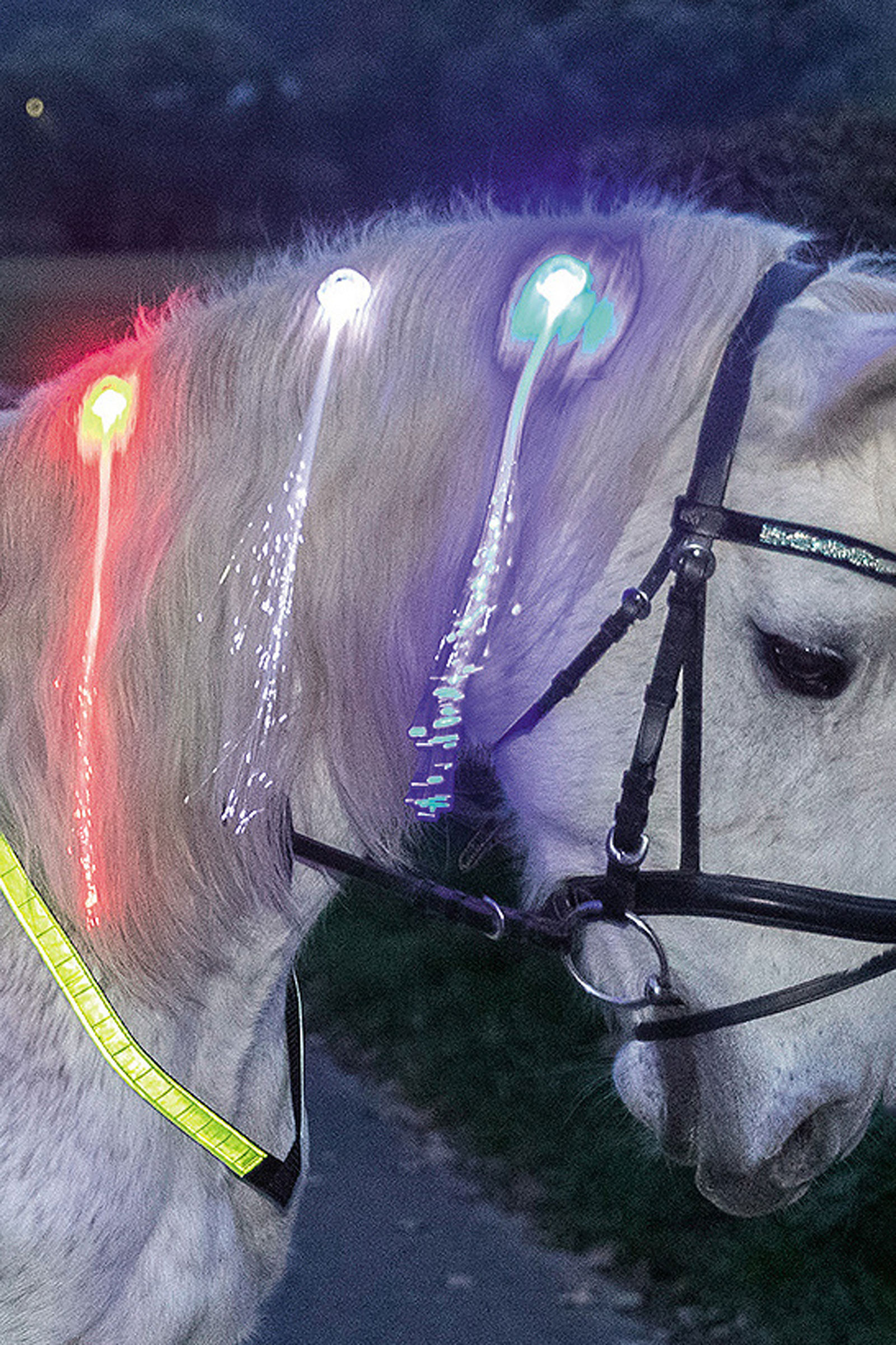 USG LED manenclips (set van 3)