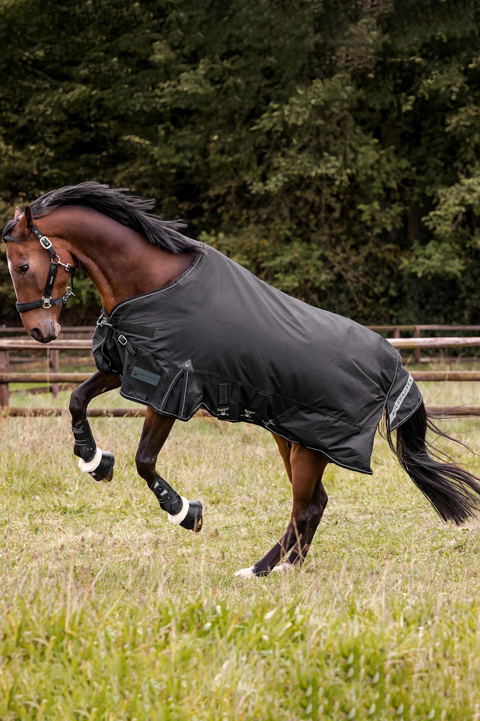 Waldhausen Outdoor Rug Scandic Multi-Layer 150g/50g