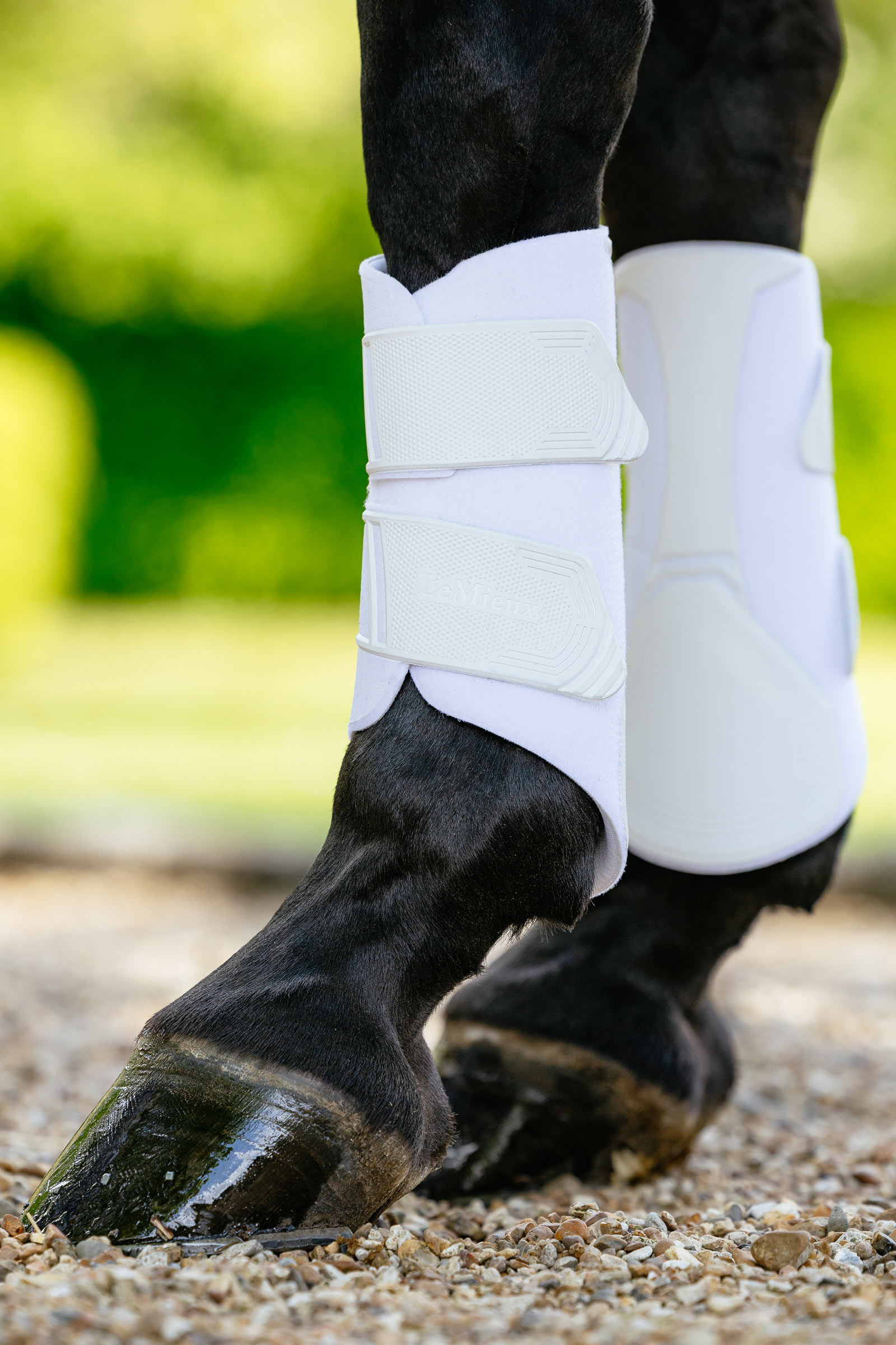 LeMieux Technical peesbeschermers