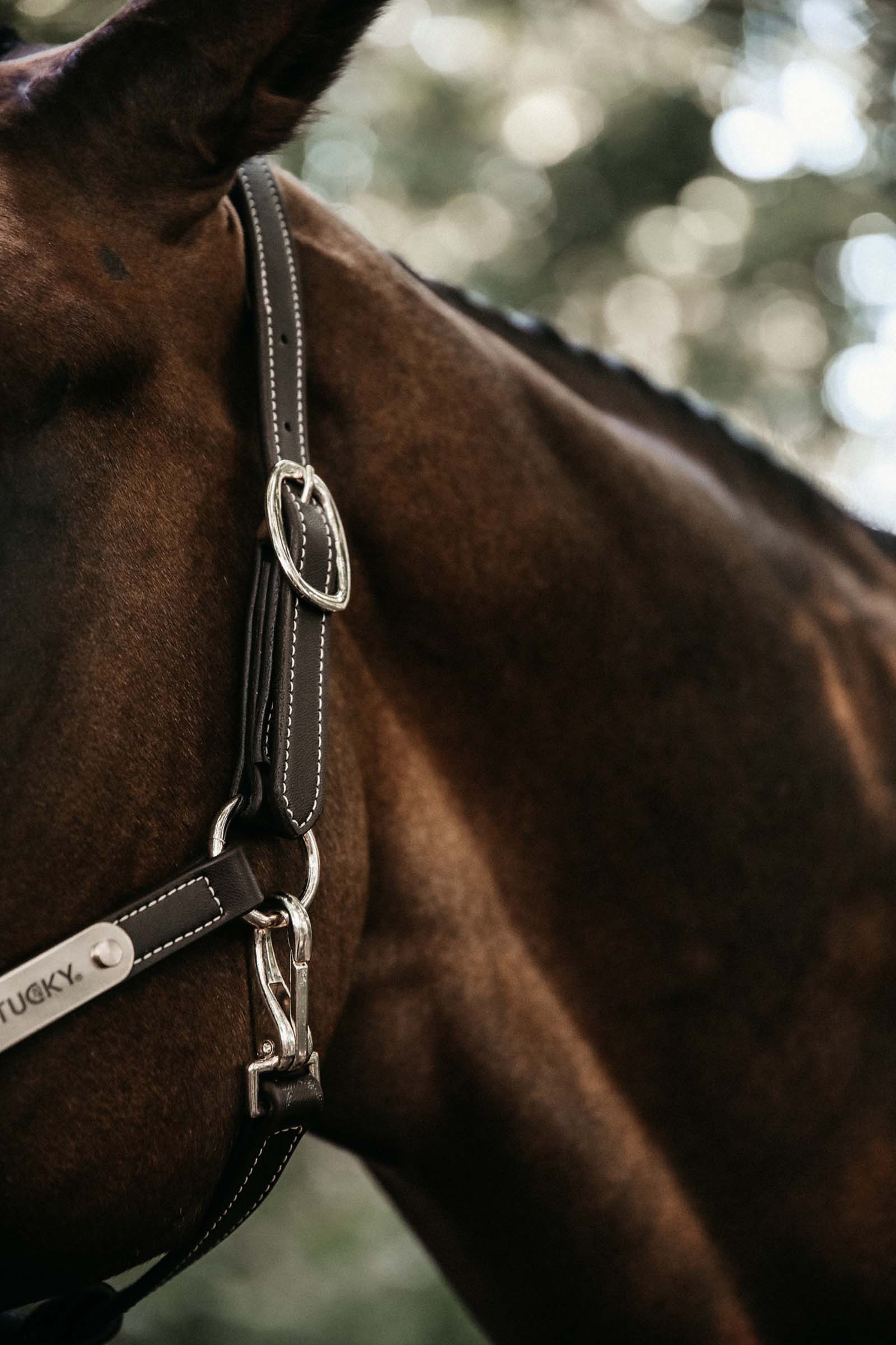 Kentucky Horsewear Leather Halter Flexible kopstuk