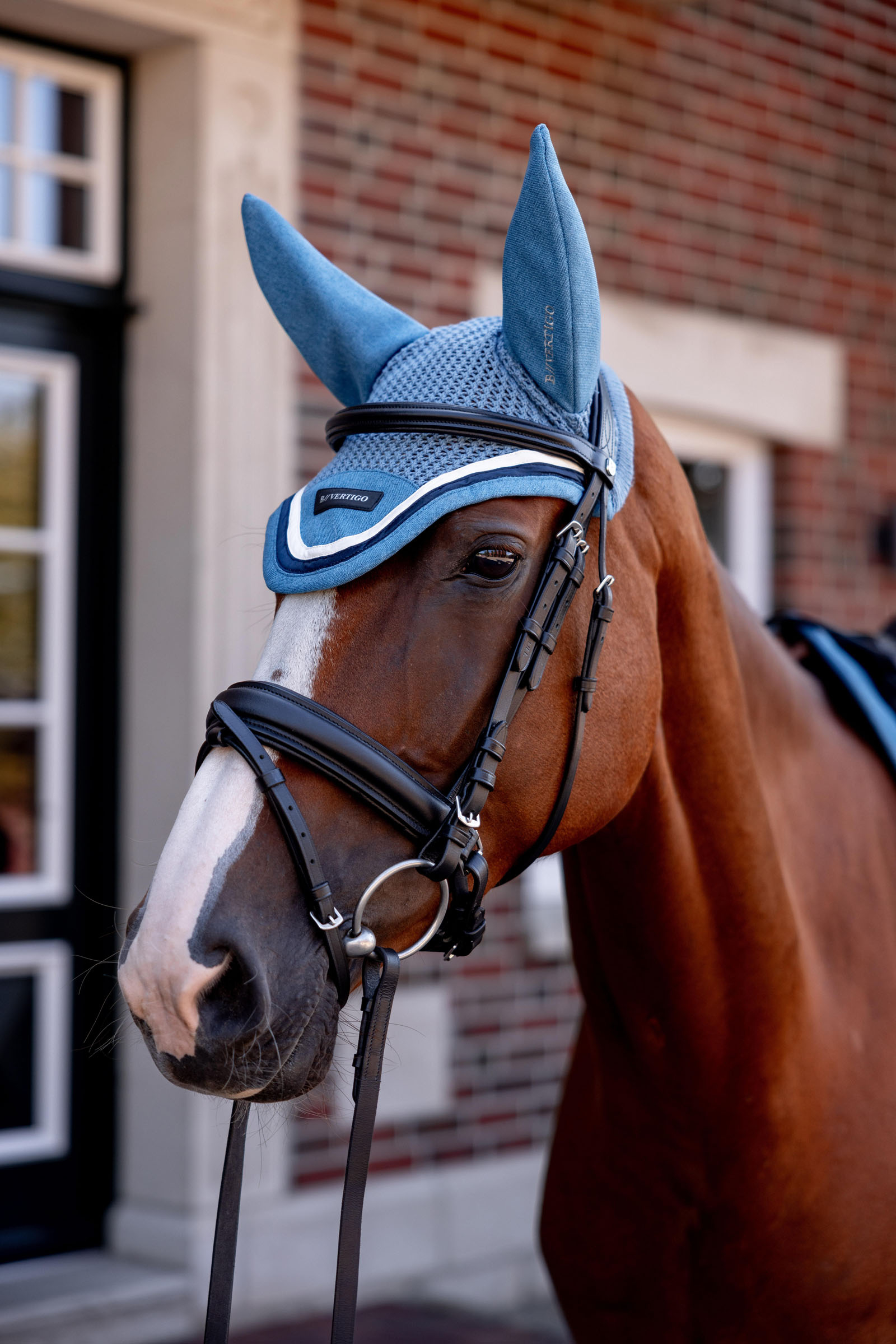 B Vertigo High Altitude oornetje