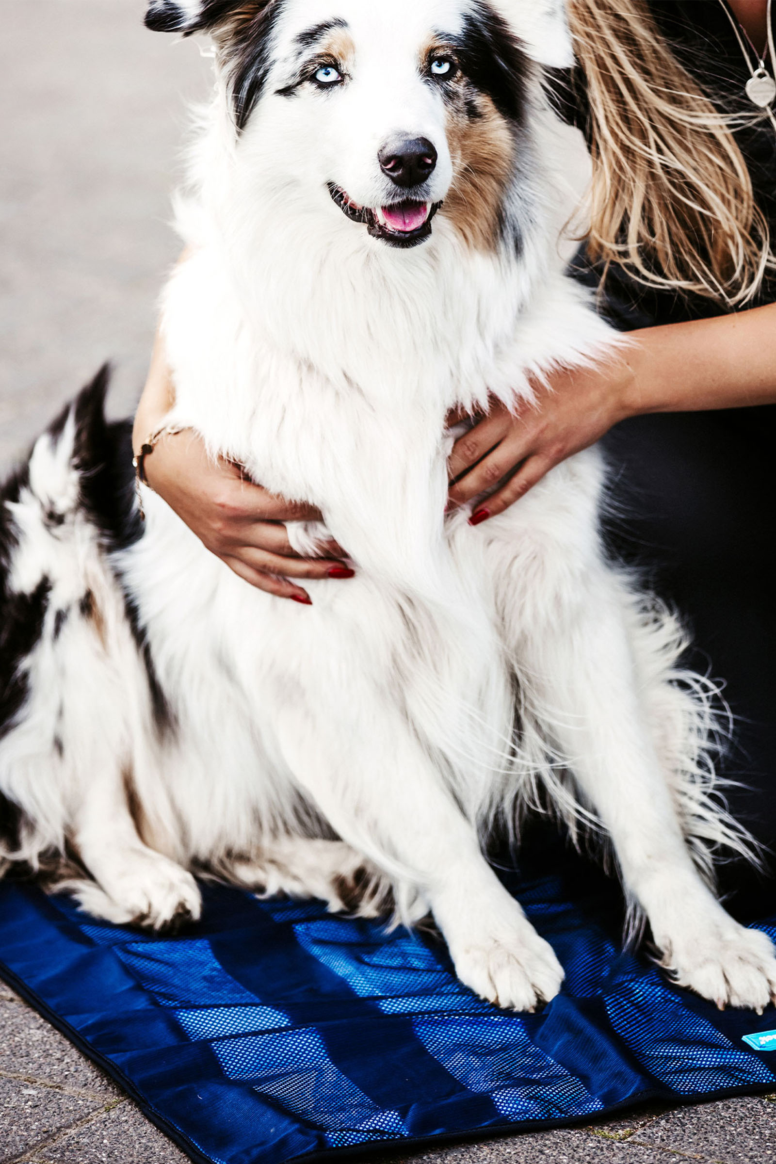 Back on Track koelmat