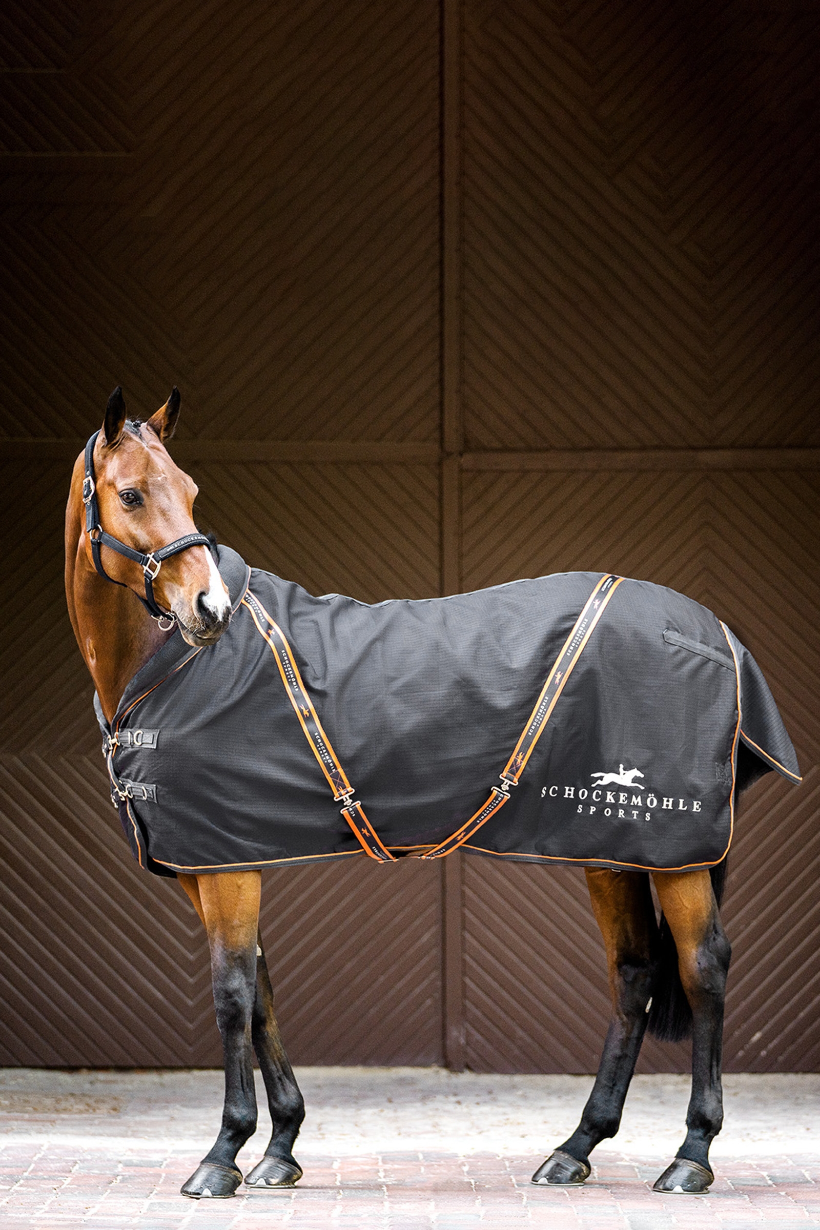 Schockem&ouml;hle Sports New Summertime Stalldecke