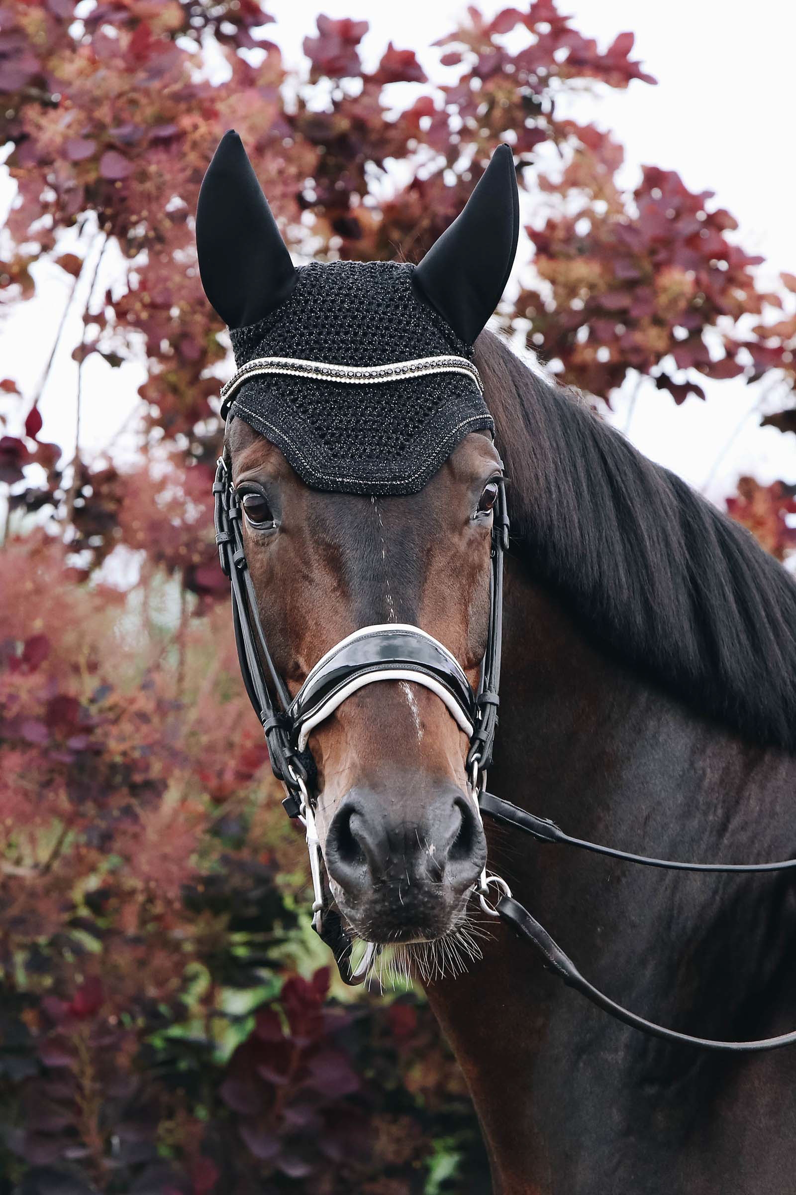 Kentucky Horsewear Oornetje Wellington Sparkling