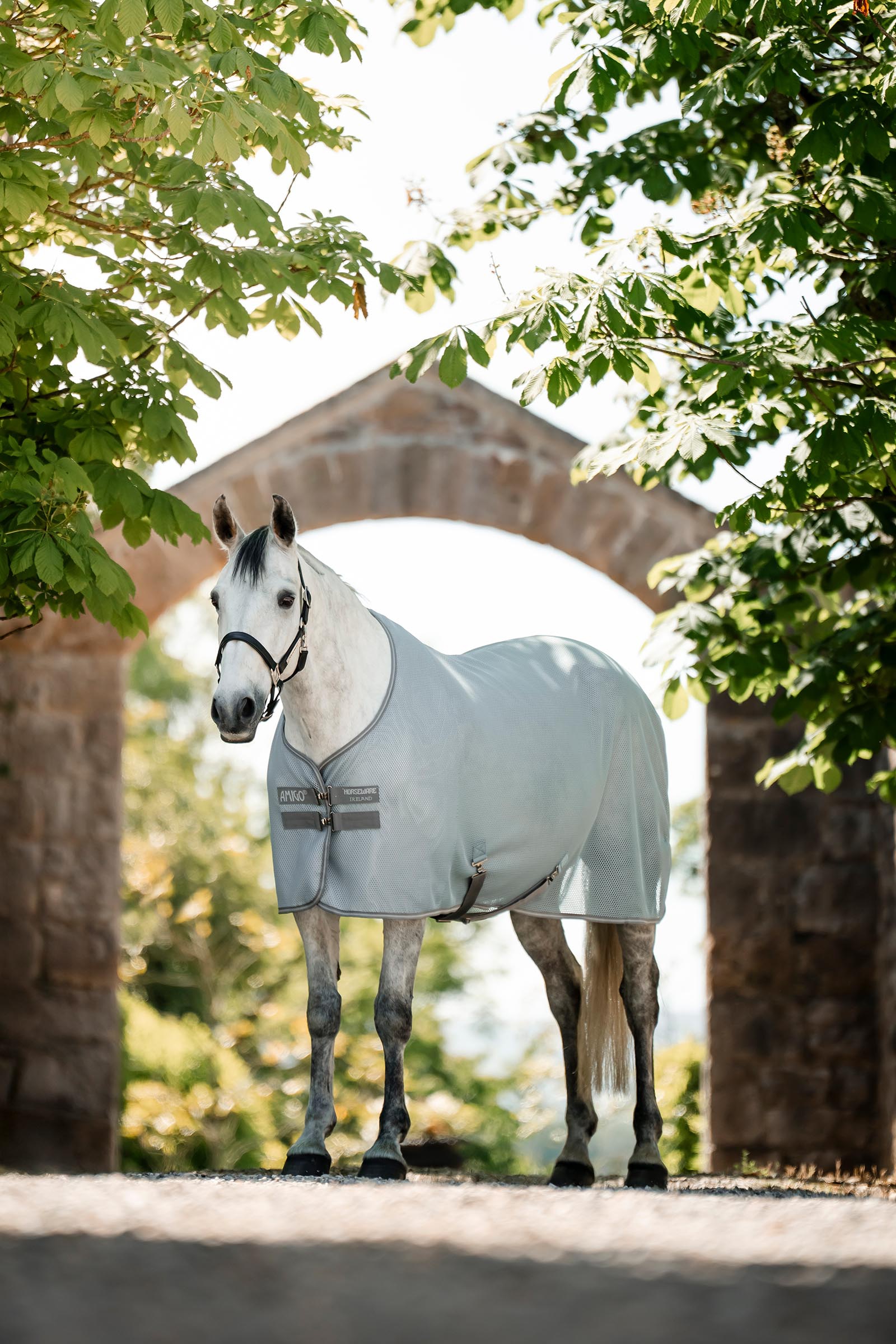 Horseware Amigo AirNet cooler deken