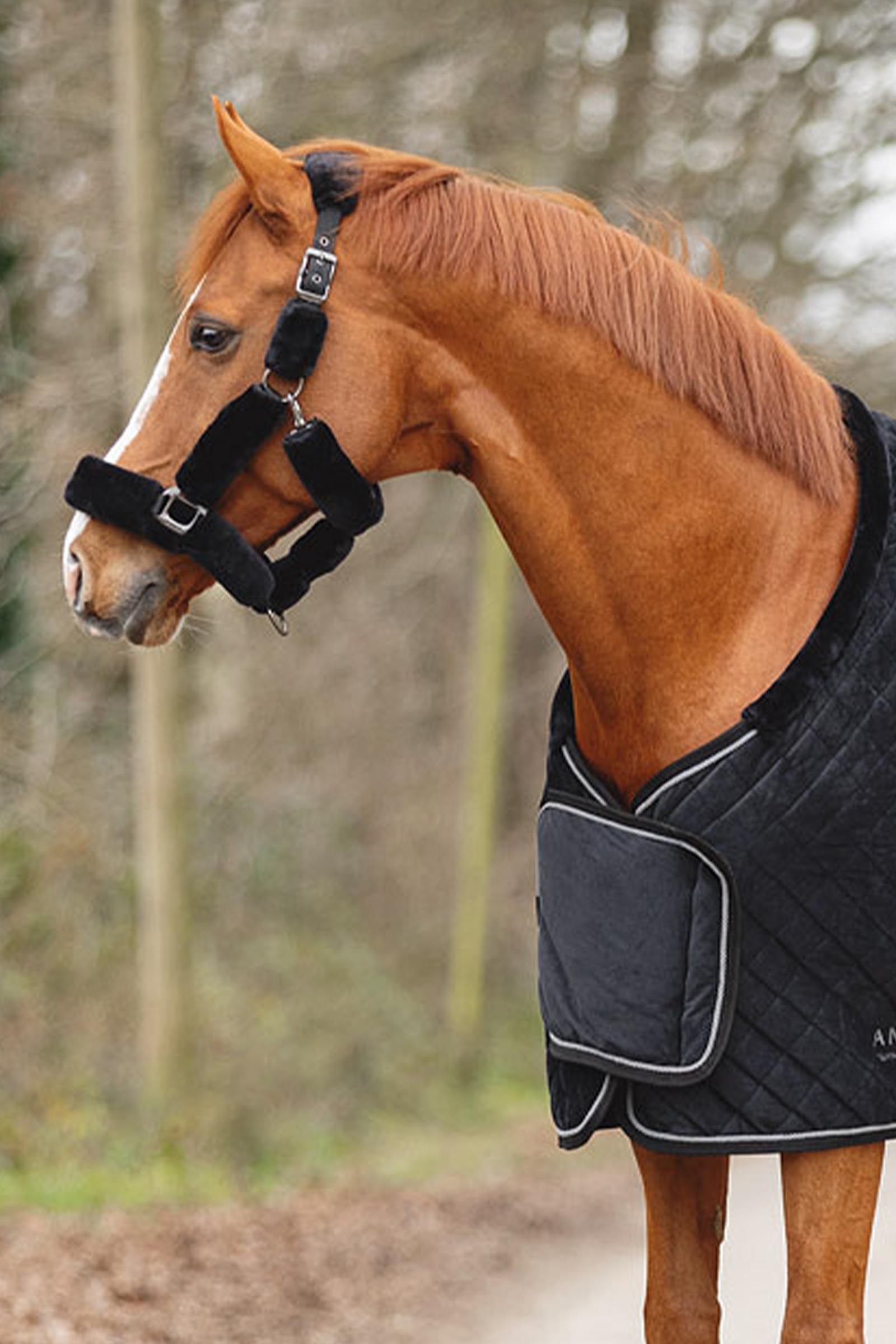 ANKY Victory Showdeken, 200 g