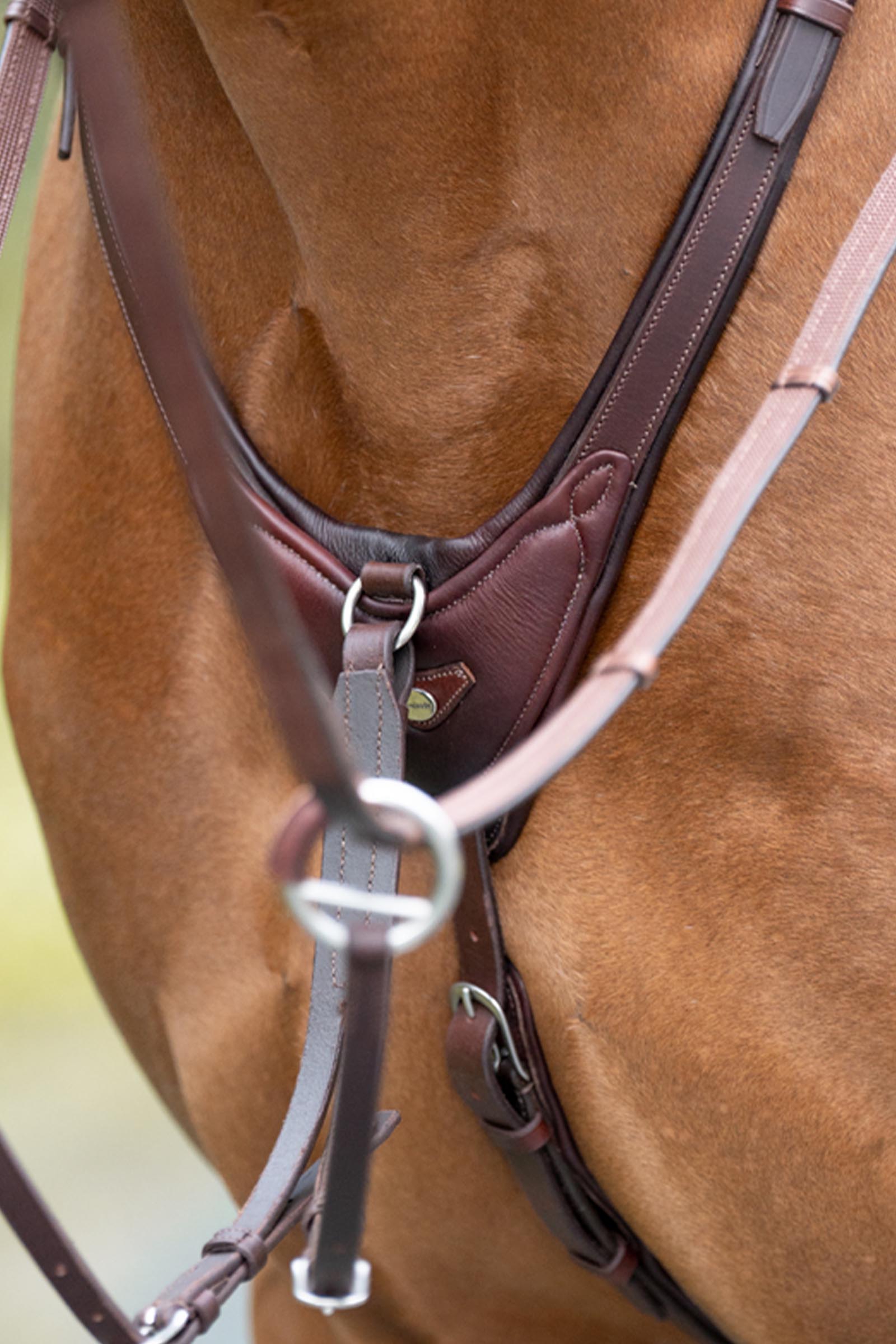 Kavalkade Azriel martingaal, zacht gevoerd
