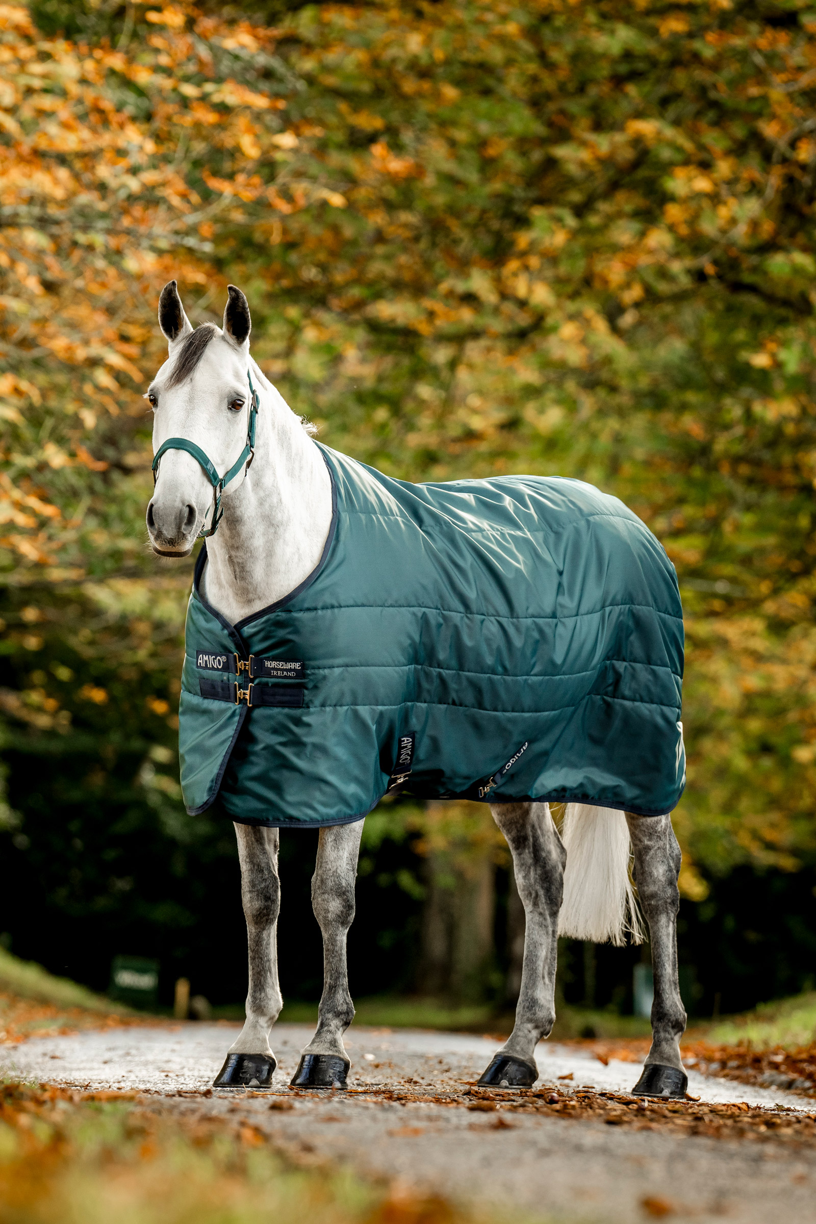 Dynasty Green/Navy/Silver Horseware Amigo Ripstop Insulator Staldeken, 50g