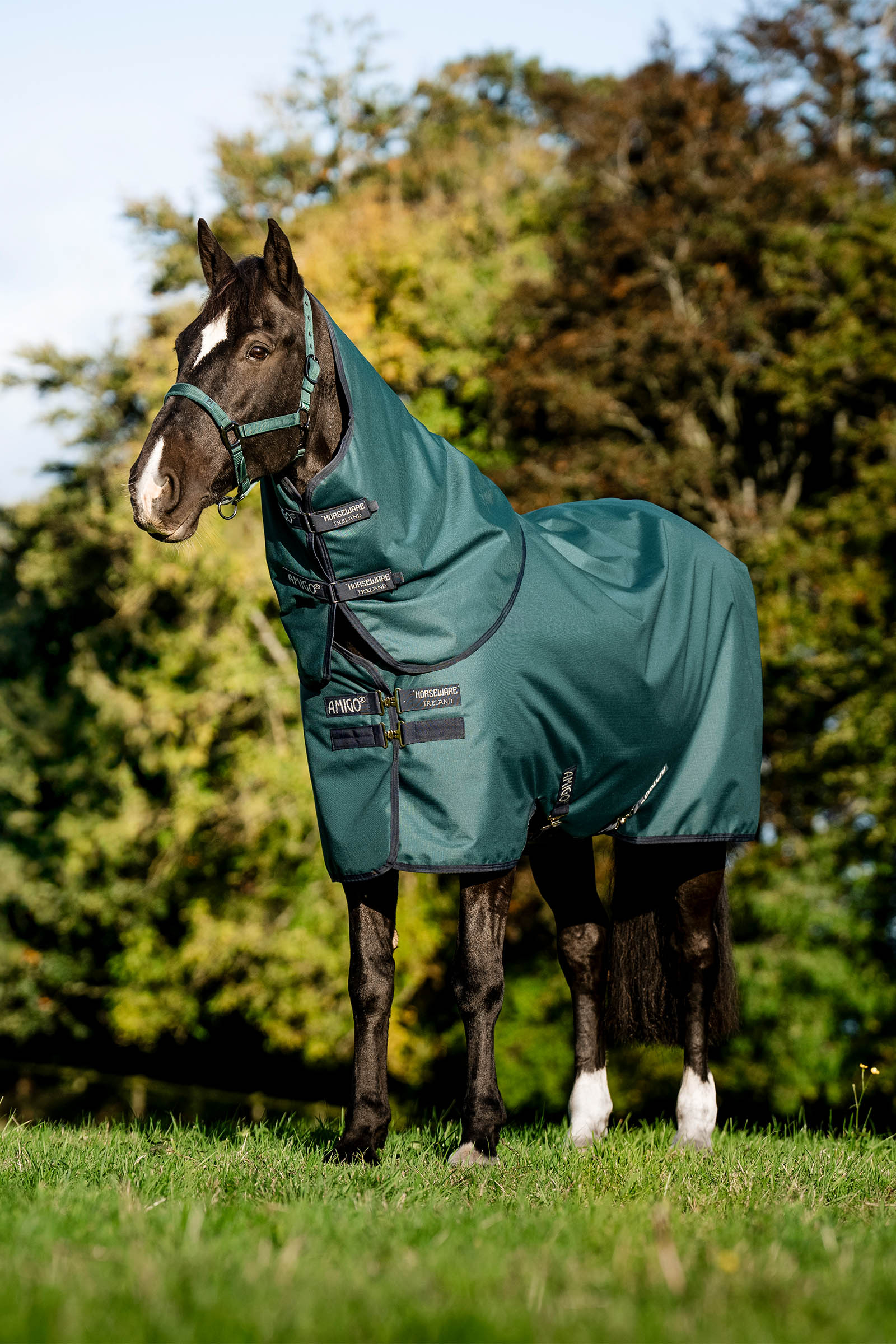 Dynasty Green/Navy/Silver Horseware Amigo Ripstop 900D Plus outdoordeken met afneembaar halsdeel, 100 g