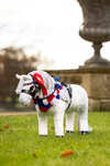 LeMieux Toy Pony sjerp met bloemen