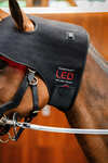 Horseware LED roodlichttherapie nekcap