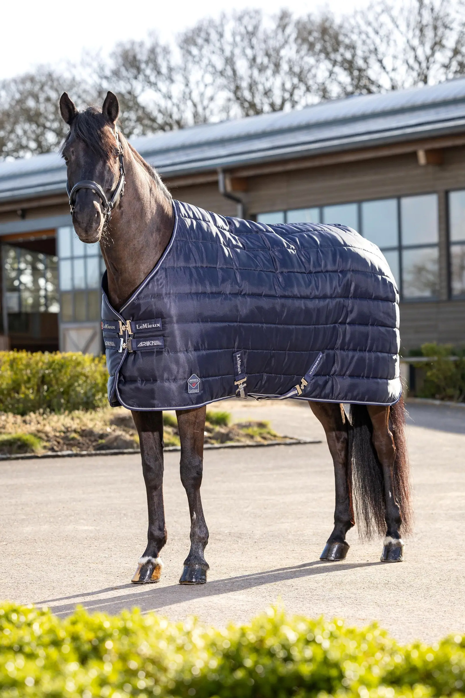 LeMieux Arika Stable-Tek staldeken, 200 g