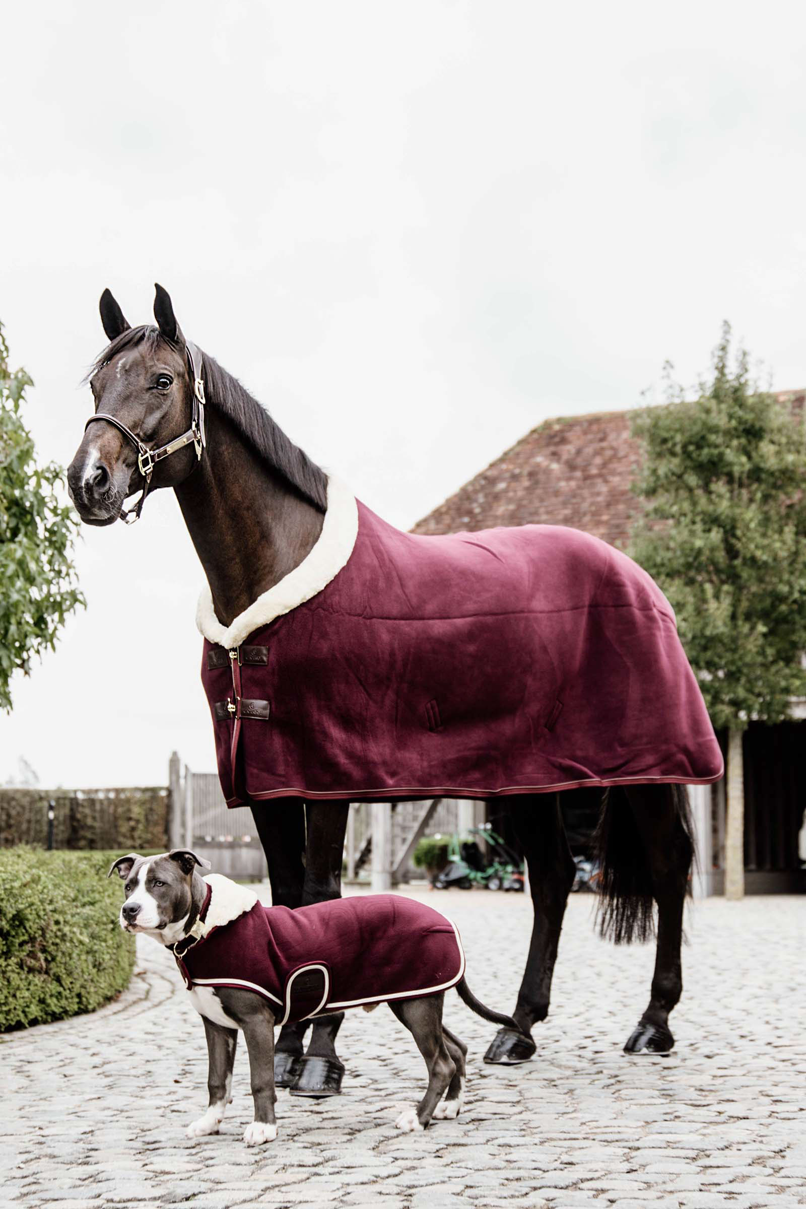 Kentucky Horsewear Fleece Zware Showdeken