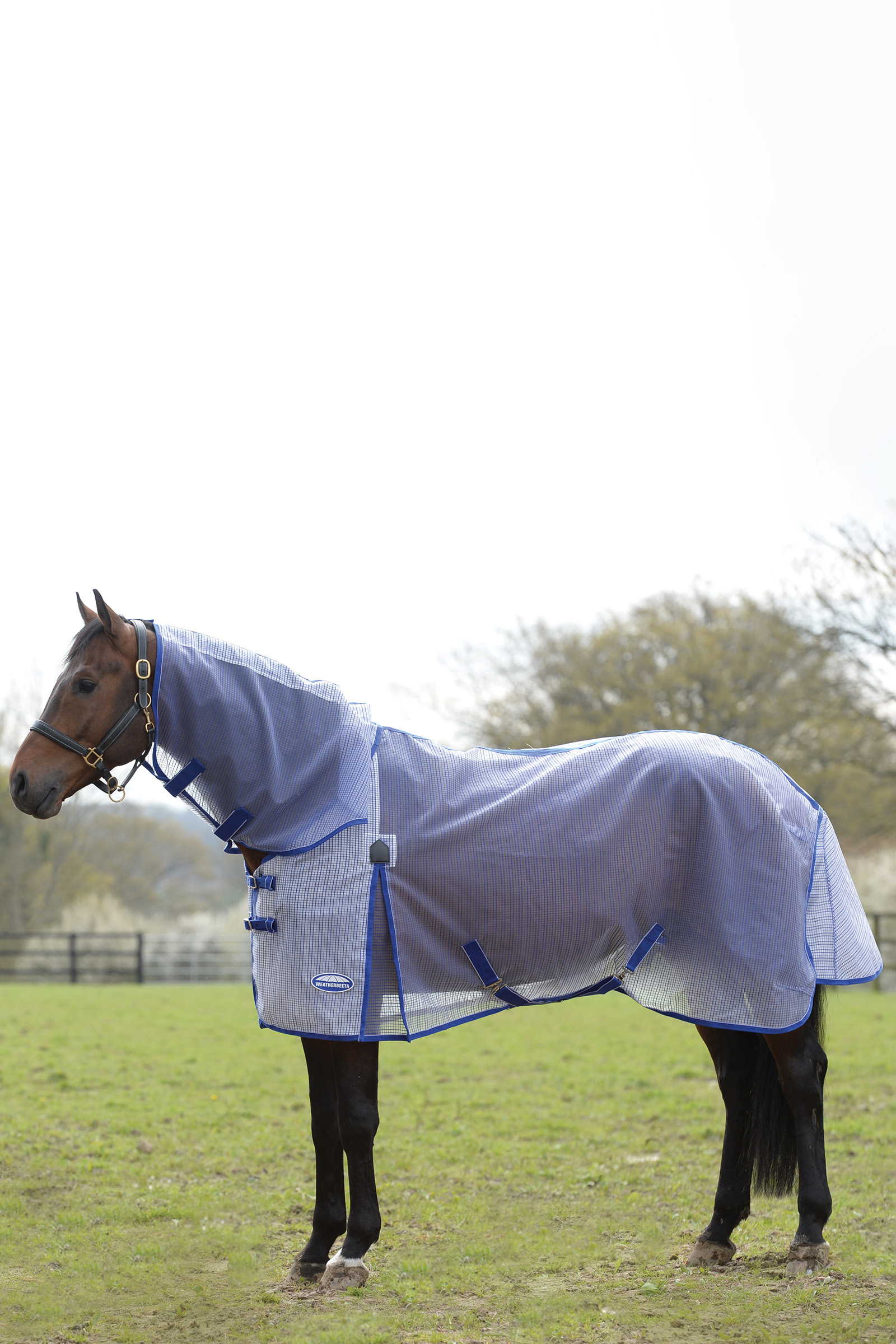 Weatherbeeta Comfitec Ripshield Plus met Ultra Belly Wrap Combo Neck