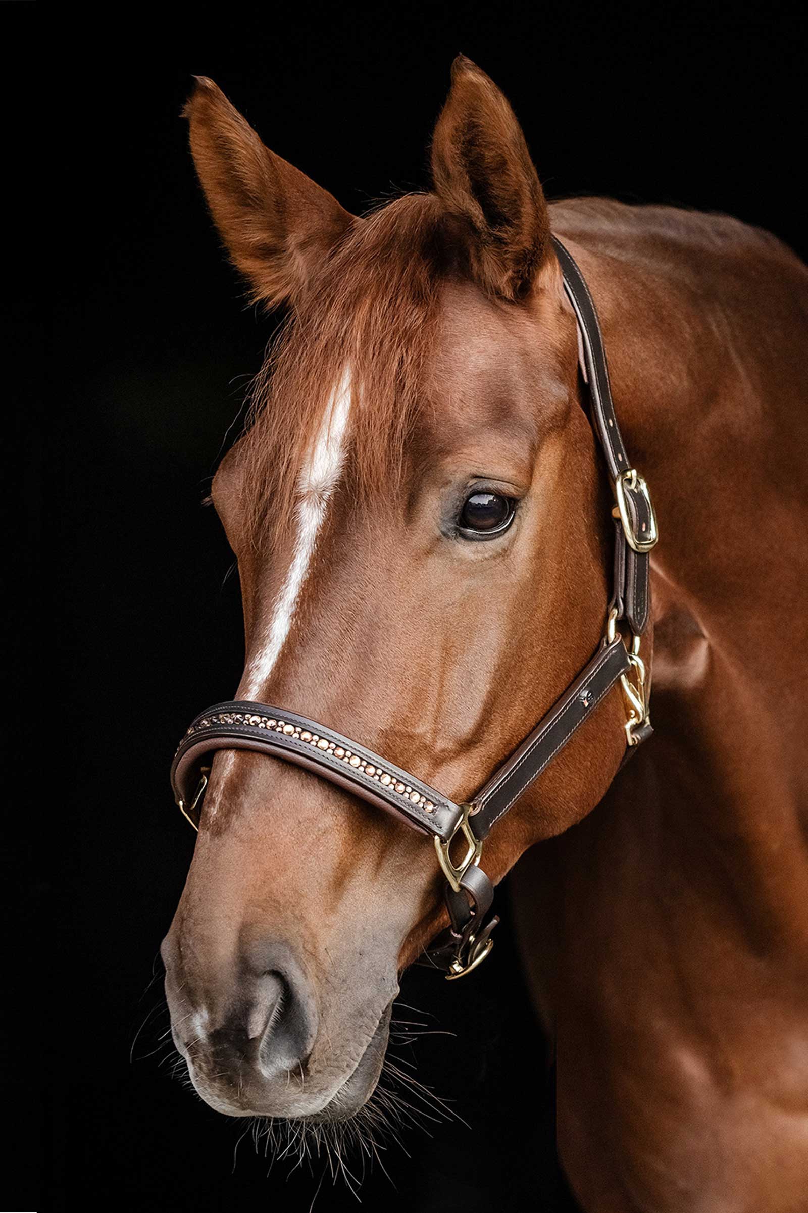 Waldhausen X-Line Crystal Lederen halster