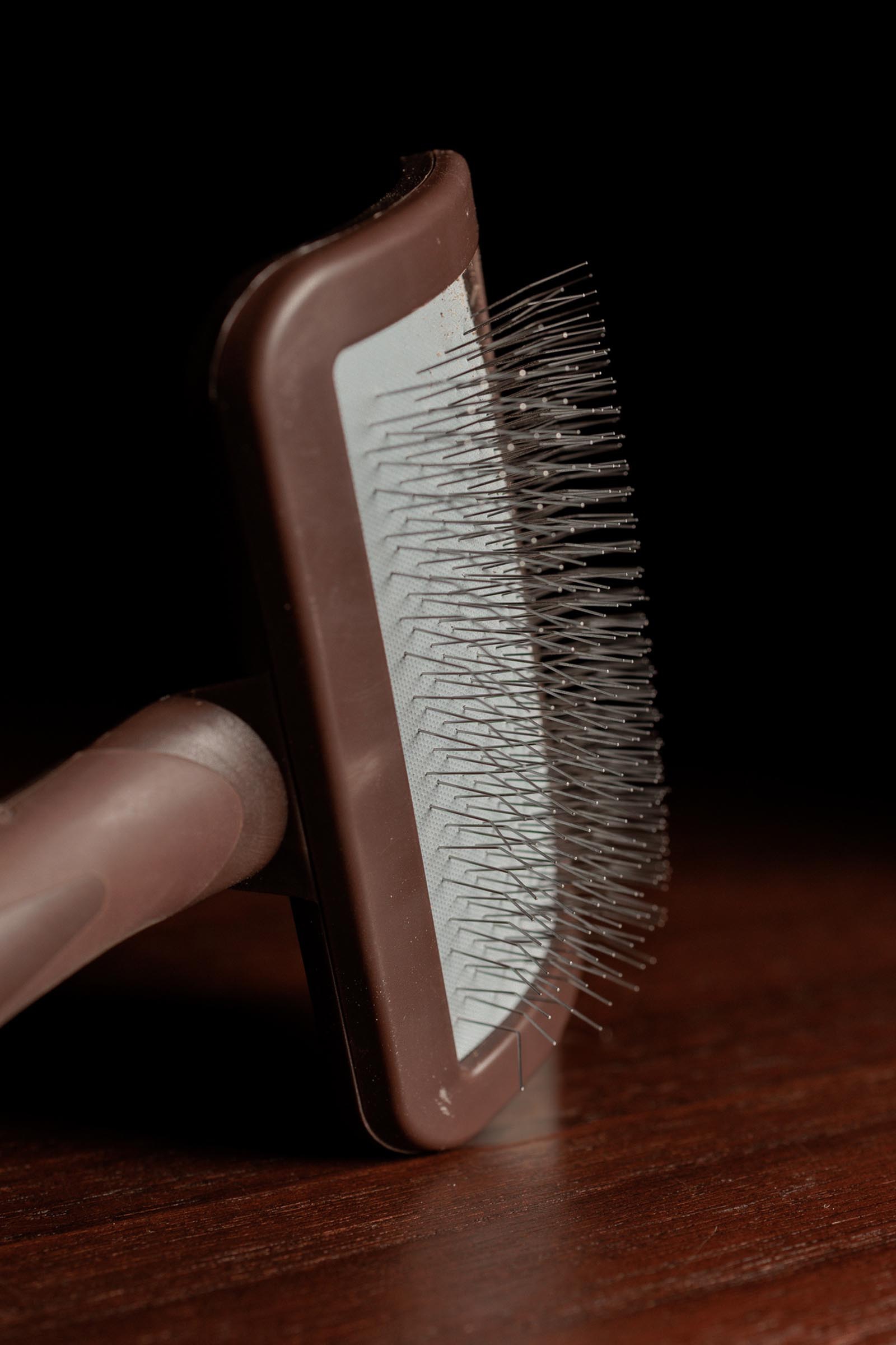 Grooming Deluxe reinigingsborstel voor klittenbandsluitingen  