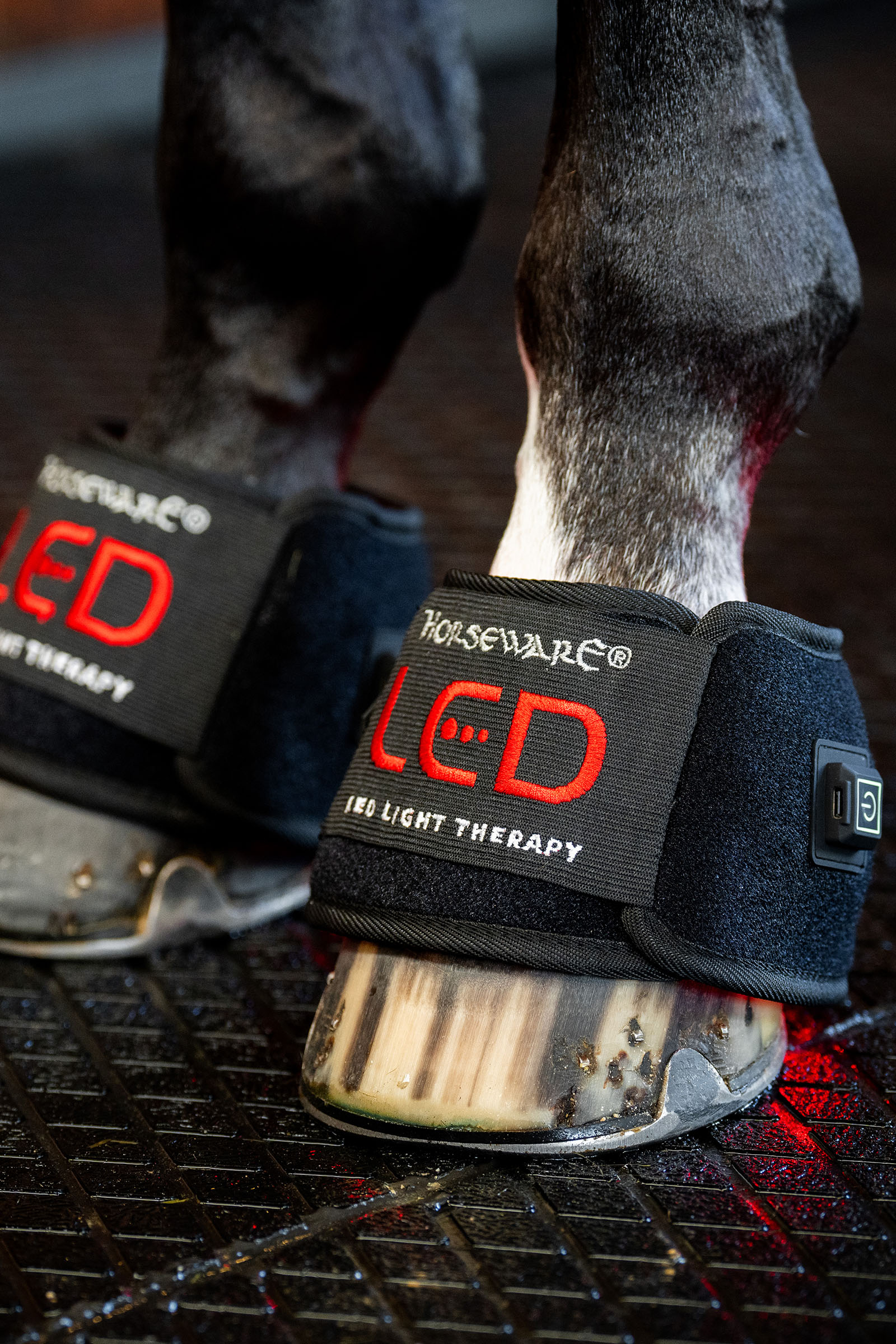 Horseware LED roodlichttherapie mini beenbeschermer (1 st.)